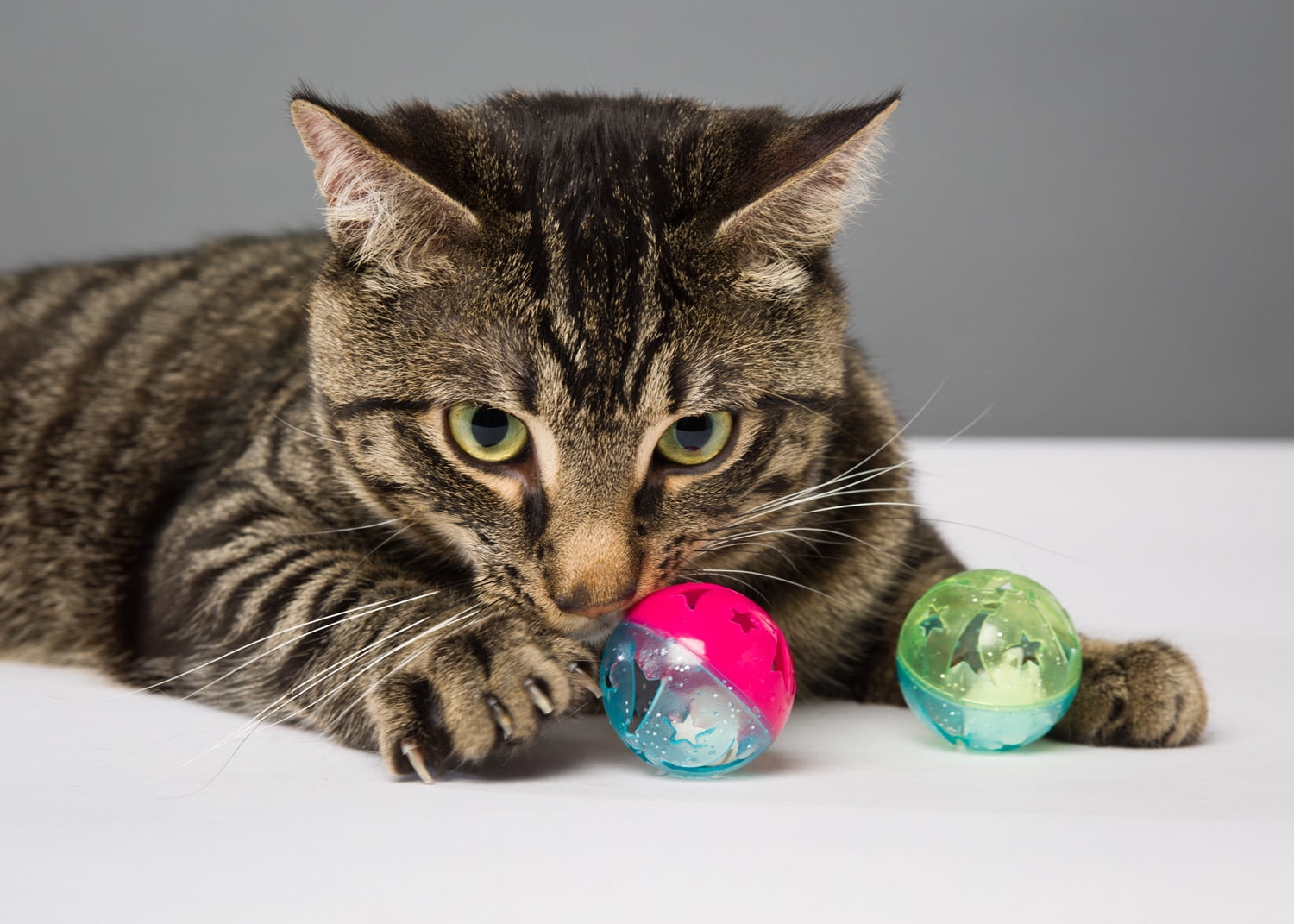 Hartz Just For Cats Bizzy Balls Interactive Cat Toy (Multi-Color, 3 Pack) n7qkn - Image 4