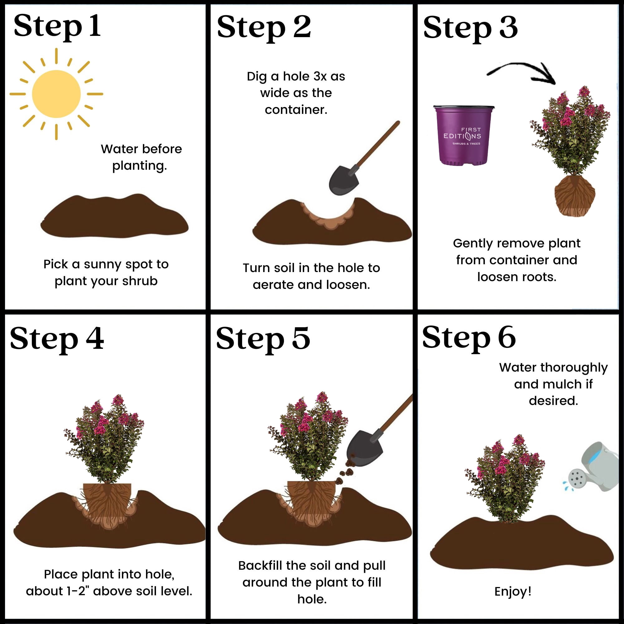 First Editions Plum Magic Crape Myrtle Live Shrub (Pink, 2 Gallon) zgzmh
