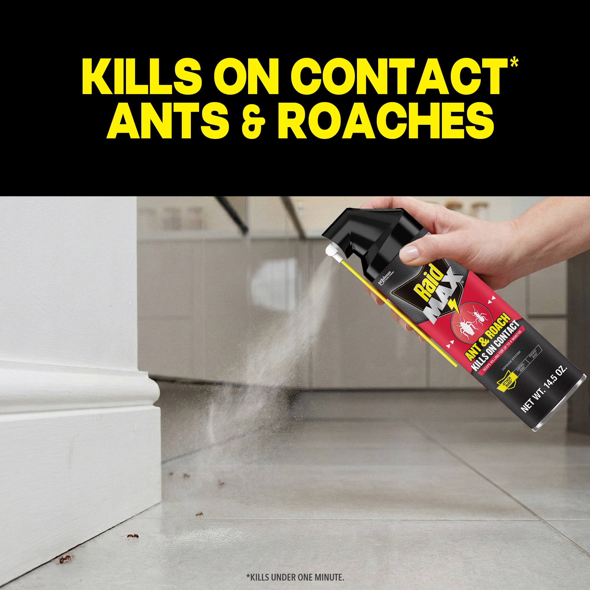 Raid MAX Indoor Ant and Roach Insecticide Spray (14.5 oz) 2ohkp