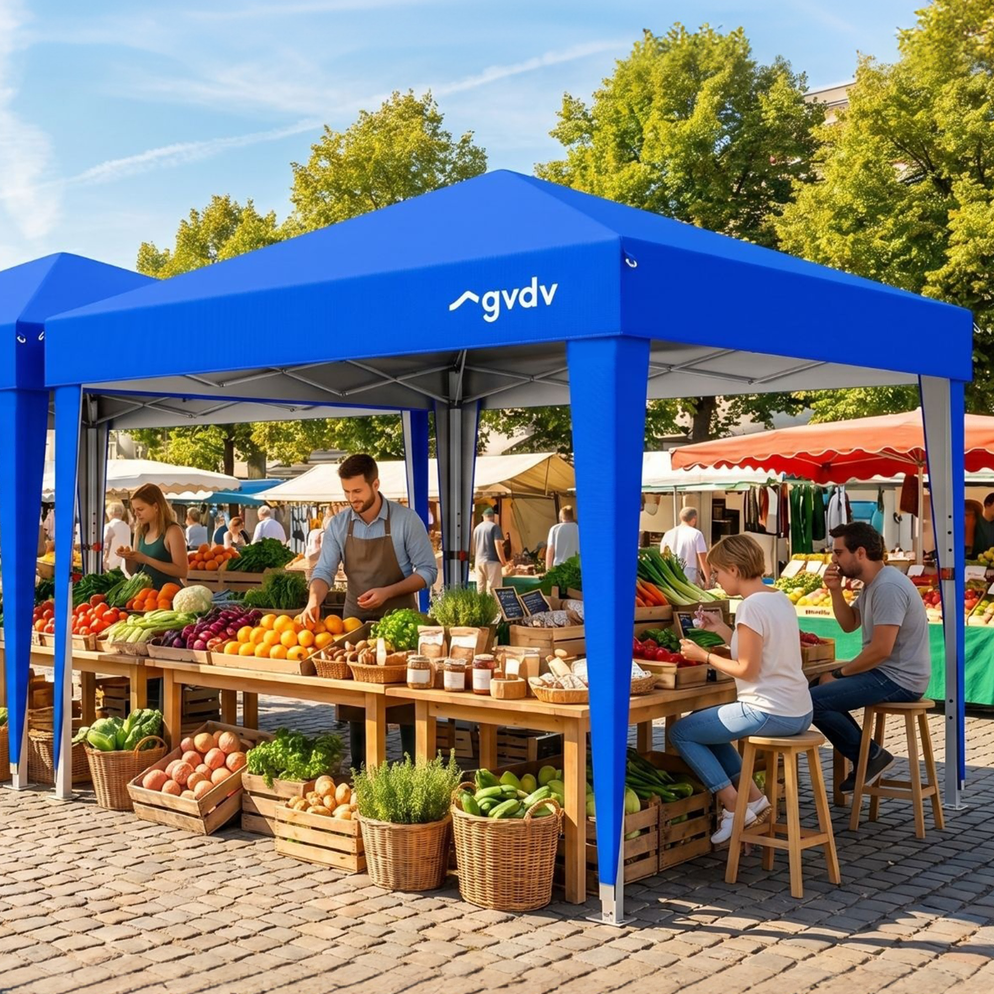 GVDV Instant Pop-up Canopy Tent, Commercial Grade Outdoor Shade Shelter (Blue, 10 ft x 10 ft) xzk2h