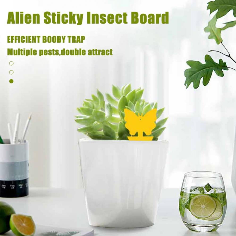 Generic Fruit Fly and Fungus Gnat Traps, Sticky Bug Catcher for Indoor and Outdoor Plant Protection (Yellow, 30 Pack) zyxyj