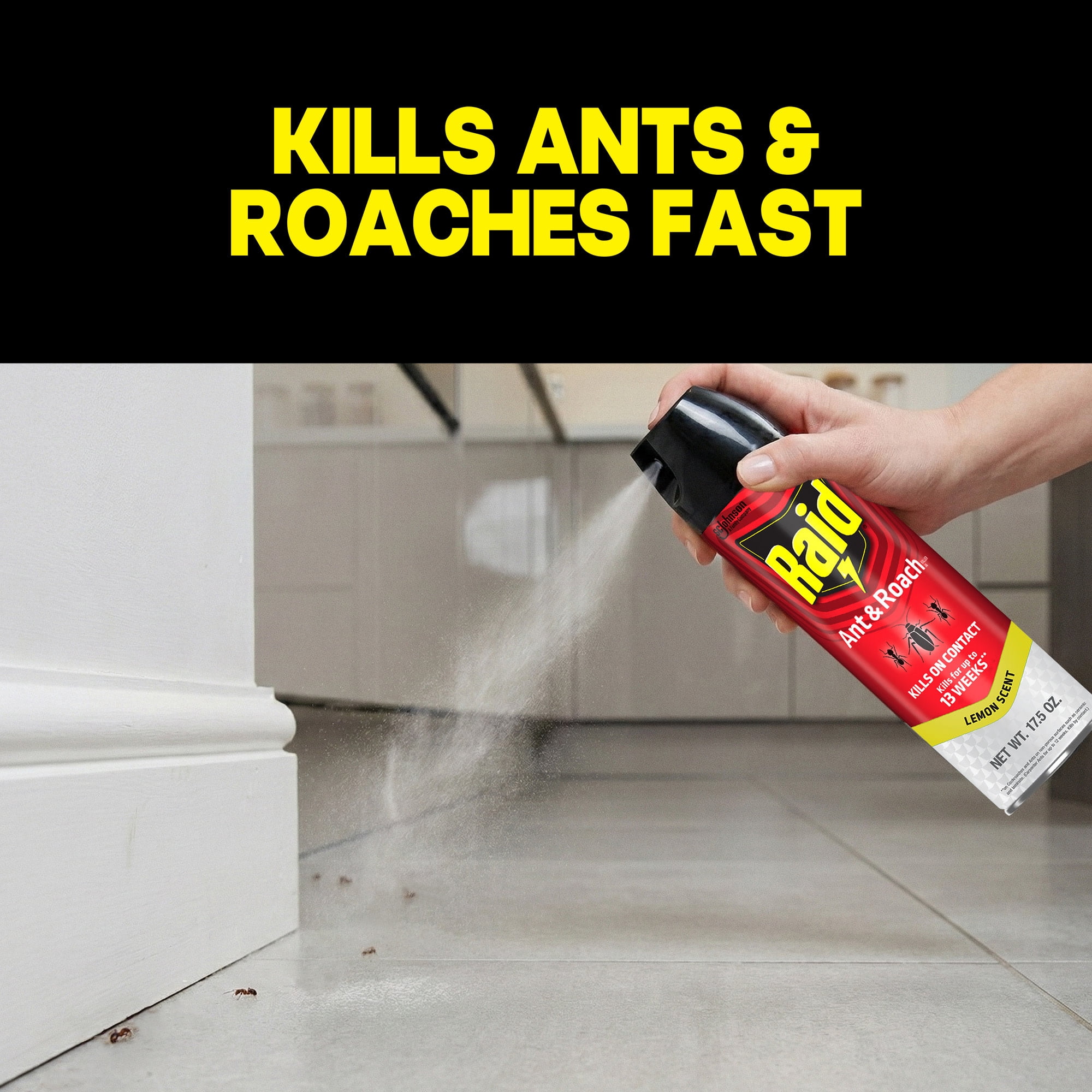 Raid Ant and Roach Insect Killer Spray, Lemon Scented Indoor Pest Control (17.5 oz) 5pq18