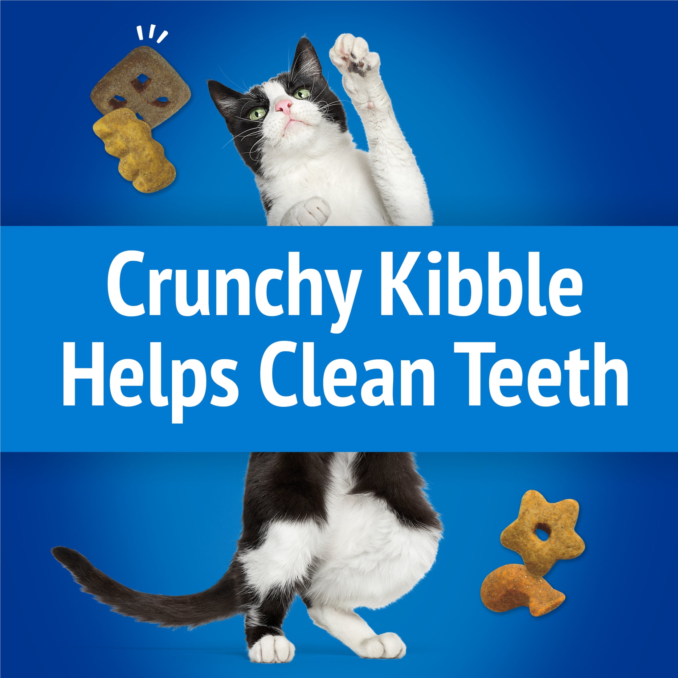 Purina Friskies Party Mix Beachside Crunch Cat Treats (Multi-Flavor, 30 oz) jgq7g