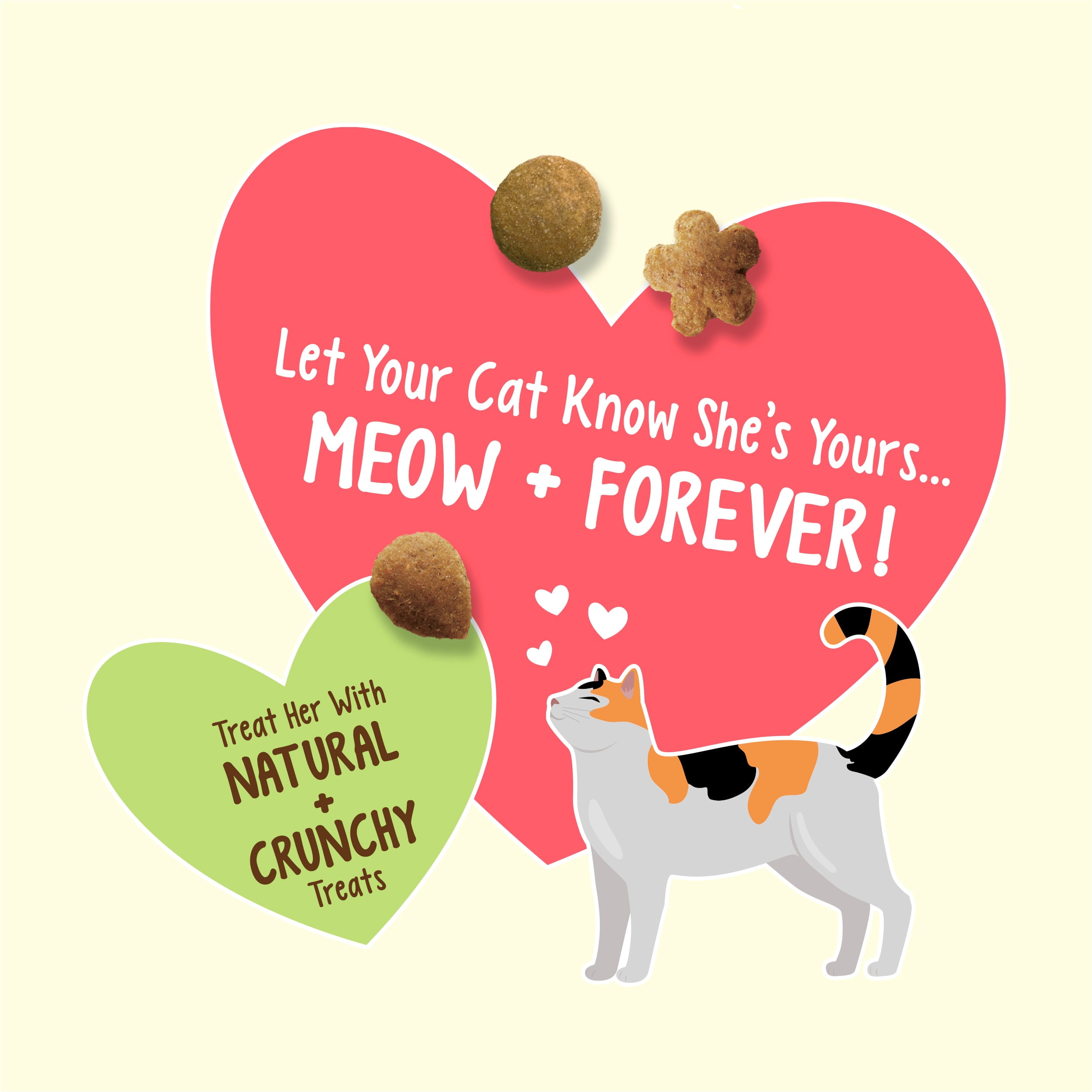 Friskies Party Mix Natural Catnip Flavor Crunchy Cat Treats (20 oz) rauv0