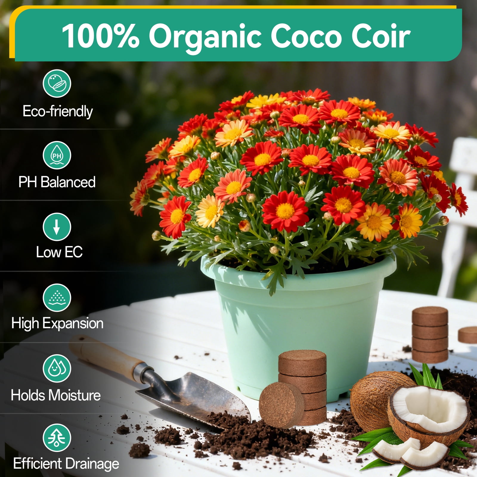 ZeeDix Compressed Coco Coir Fiber Potting Soil Pellets for Indoor and Outdoor Gardening (1.18 in, 100 Pack) ndbh1