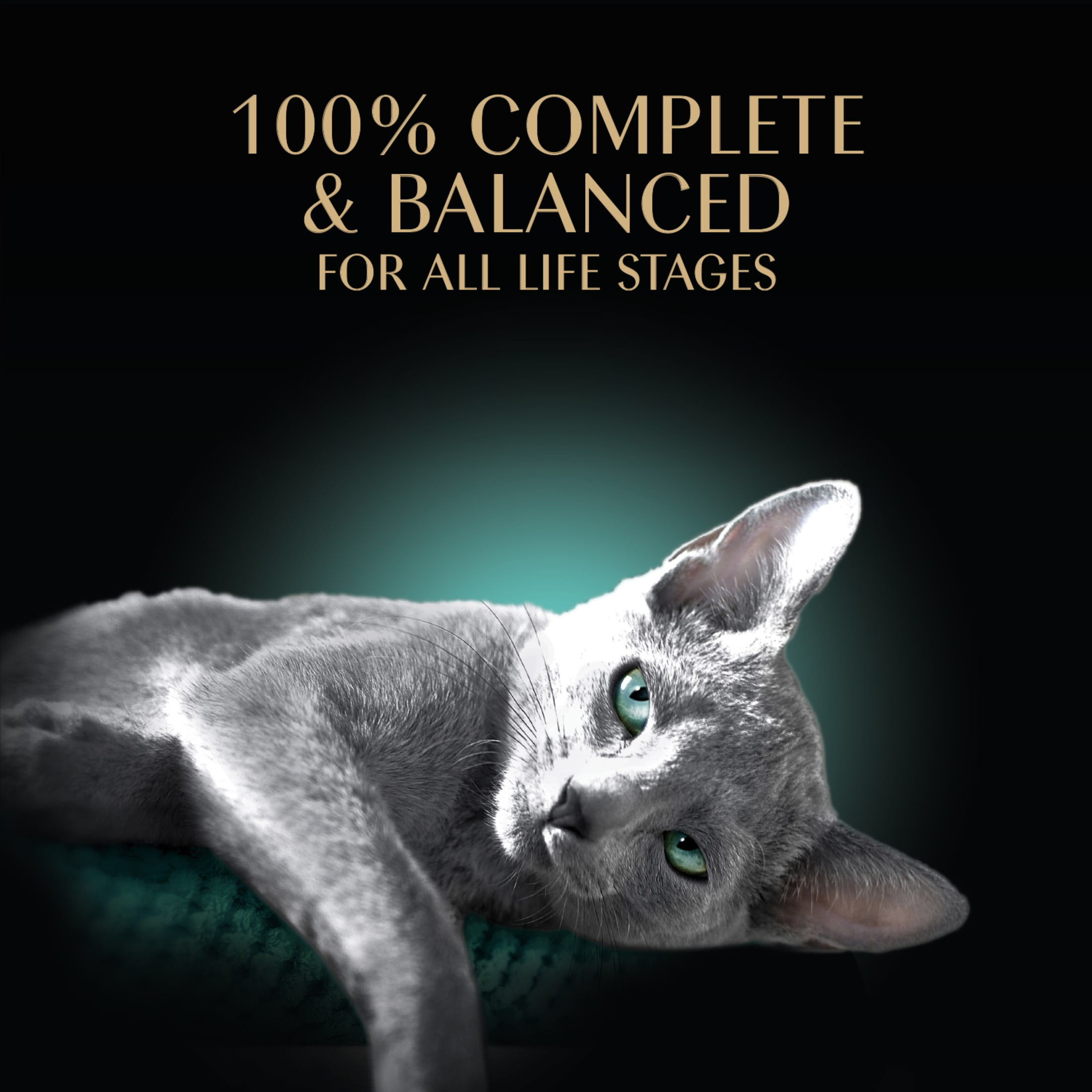 SHEBA Perfect Portions Tender Beef Entree Wet Cat Food Pate (2.6 oz Twin-Pack Tray) 1ex74