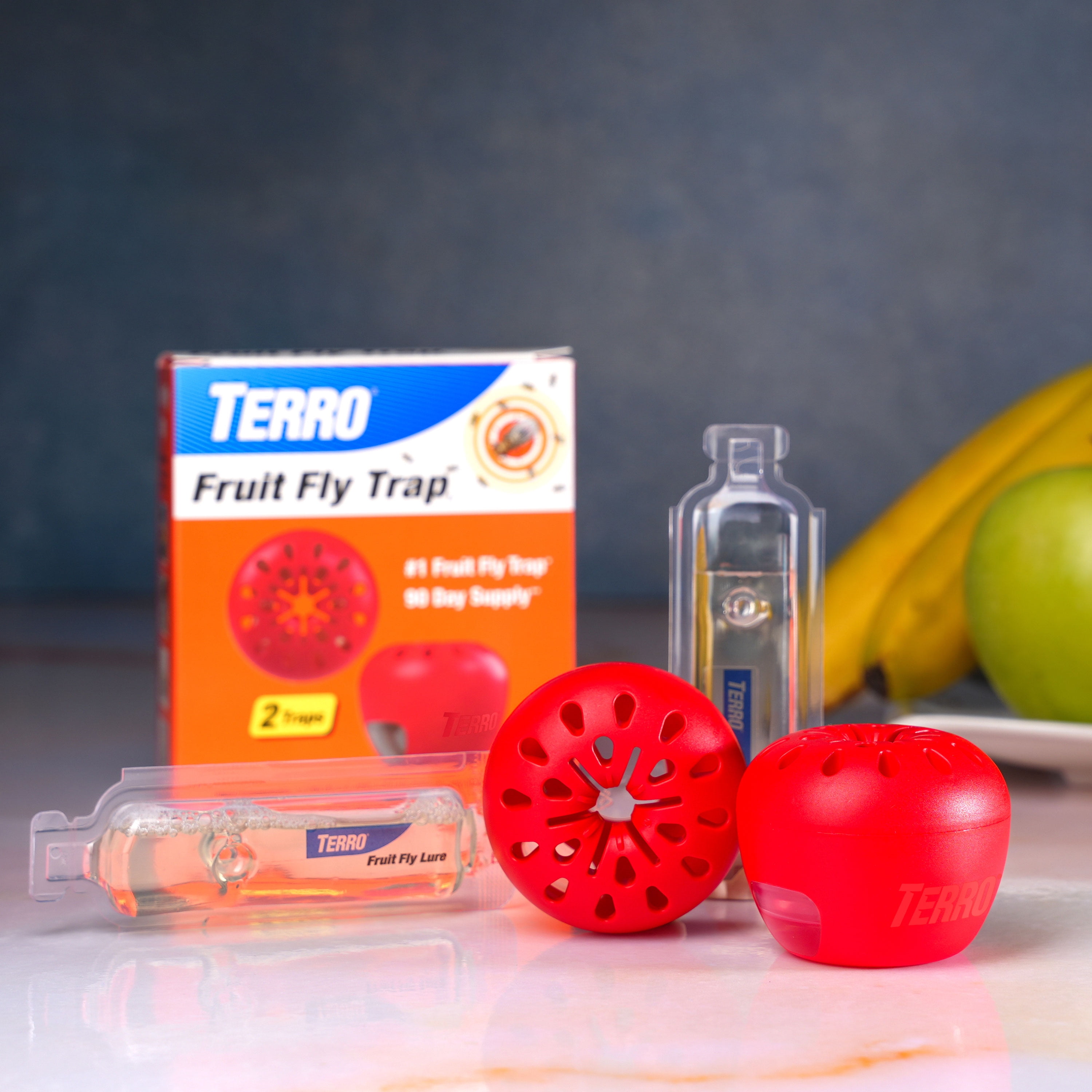 TERRO Fruit Fly Trap, Indoor Pest Control for Kitchen and Home (6 Pack) yp9gn