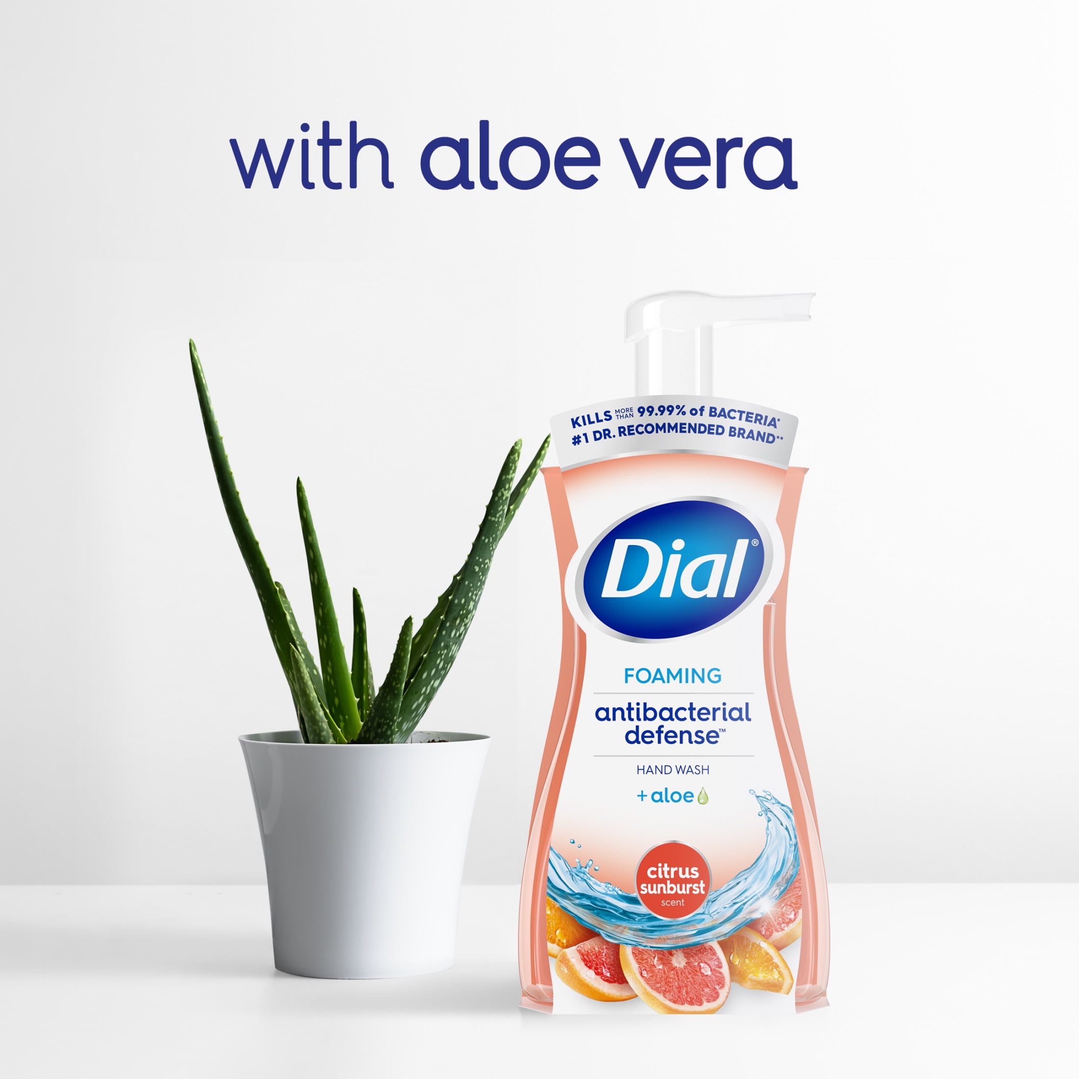 Dial Antibacterial Defense Foaming Hand Soap, Citrus Sunburst Scent (7.5 fl oz) wty5j - Image 5