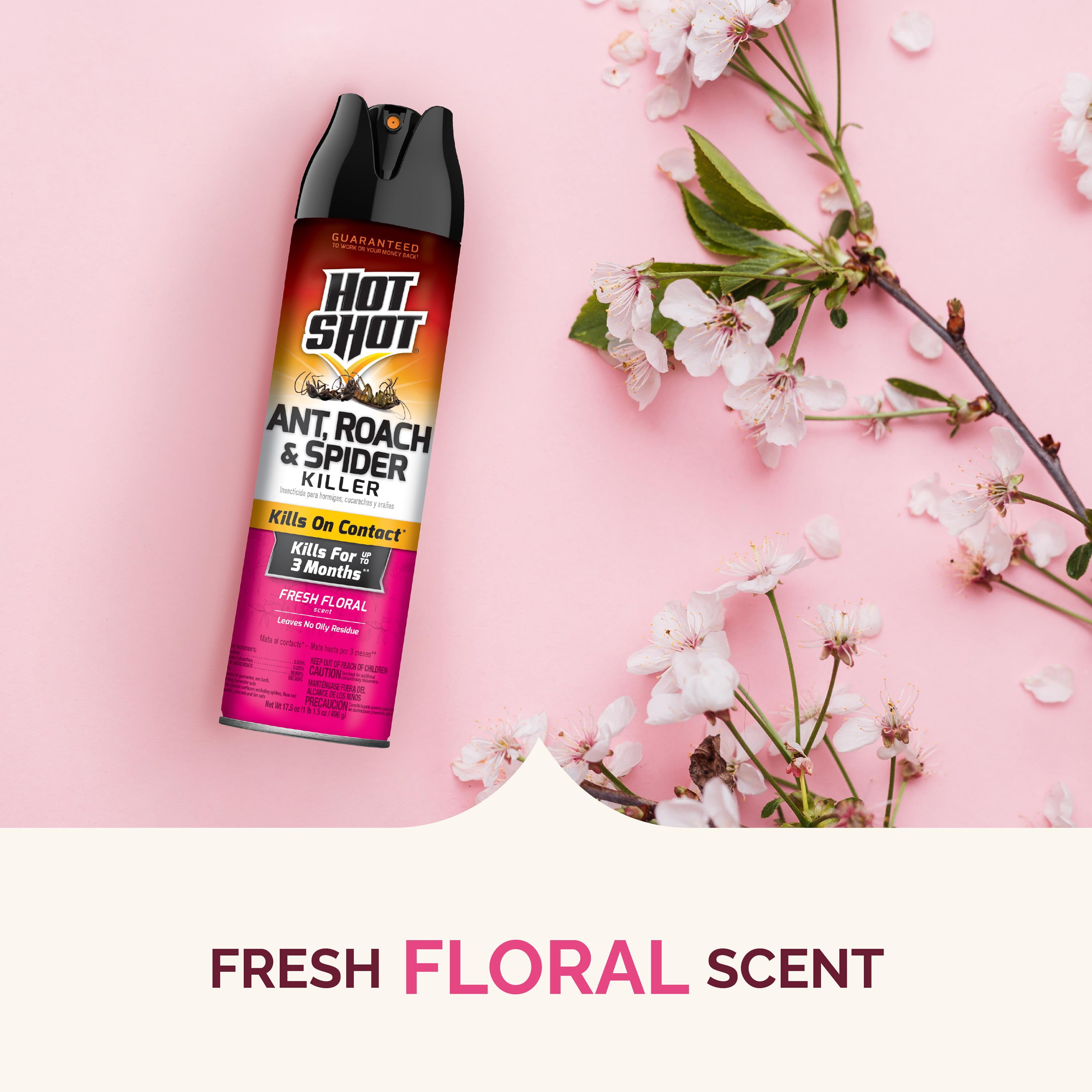Hot Shot Ant, Roach & Spider Killer Spray, Long-Lasting Indoor & Outdoor Pest Control (Fresh Floral Scent, 17.5 oz) do8y7