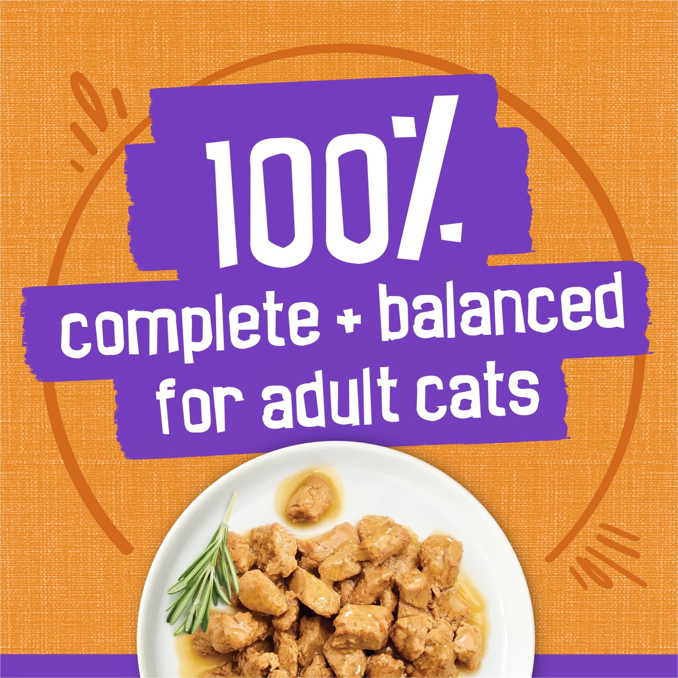 Friskies Meaty Bits Chicken Dinner Wet Cat Food in Gravy (13.5 oz) conmw