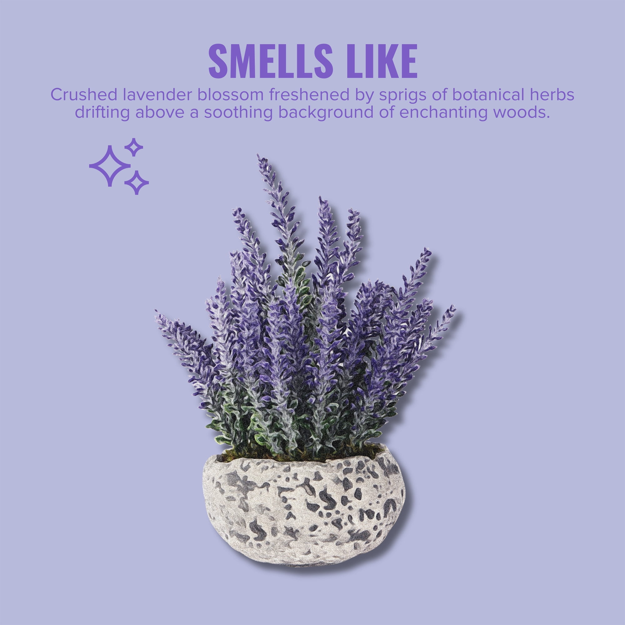 Citrus Magic Odor Absorbing Solid Air Freshener for Closets, Fresh Lavender (8 oz) er9qy