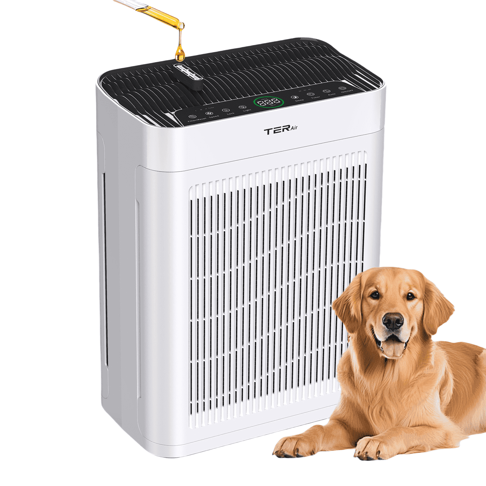 TER Air Purifier for Large Rooms, H13 HEPA Filter with PM2.5 Sensor, Quiet Air Cleaner for Home, Pets, Smoke, and Dust (White, 2500 sq ft) apfj4
