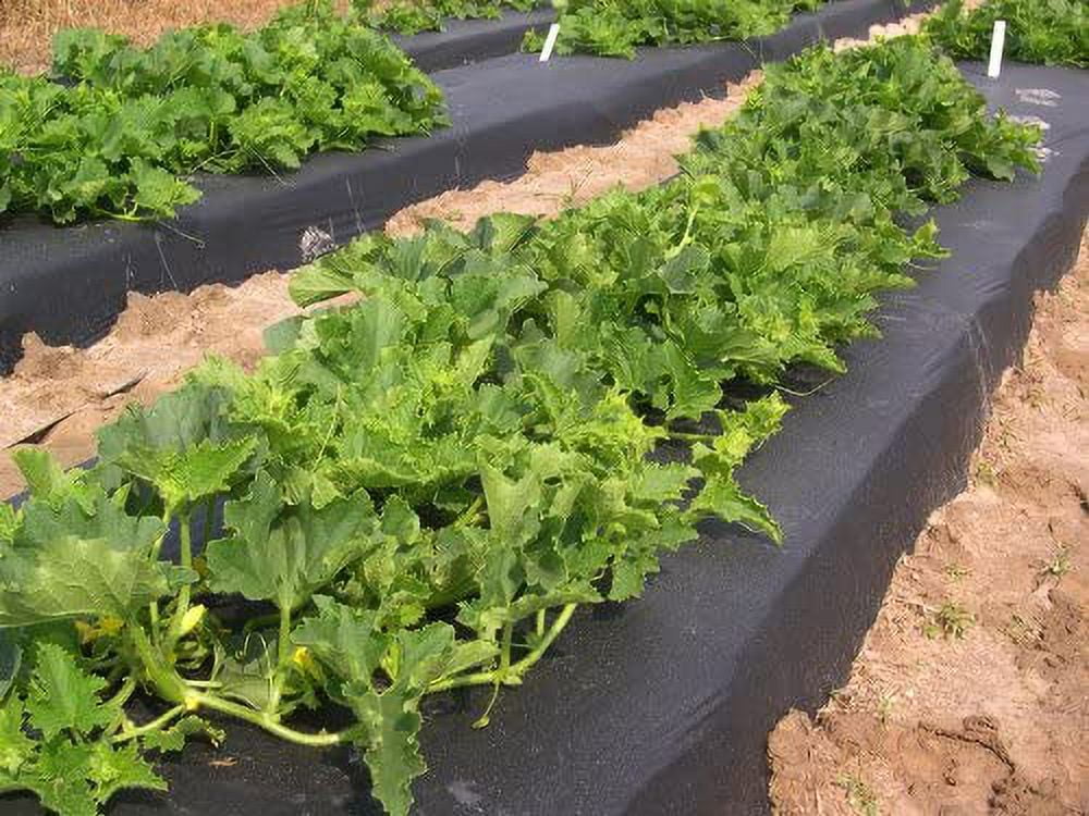 UCATQ Embossed Plastic Mulch Film for Weed Control (Black, 4 ft x 2400 ft) 7bb2r