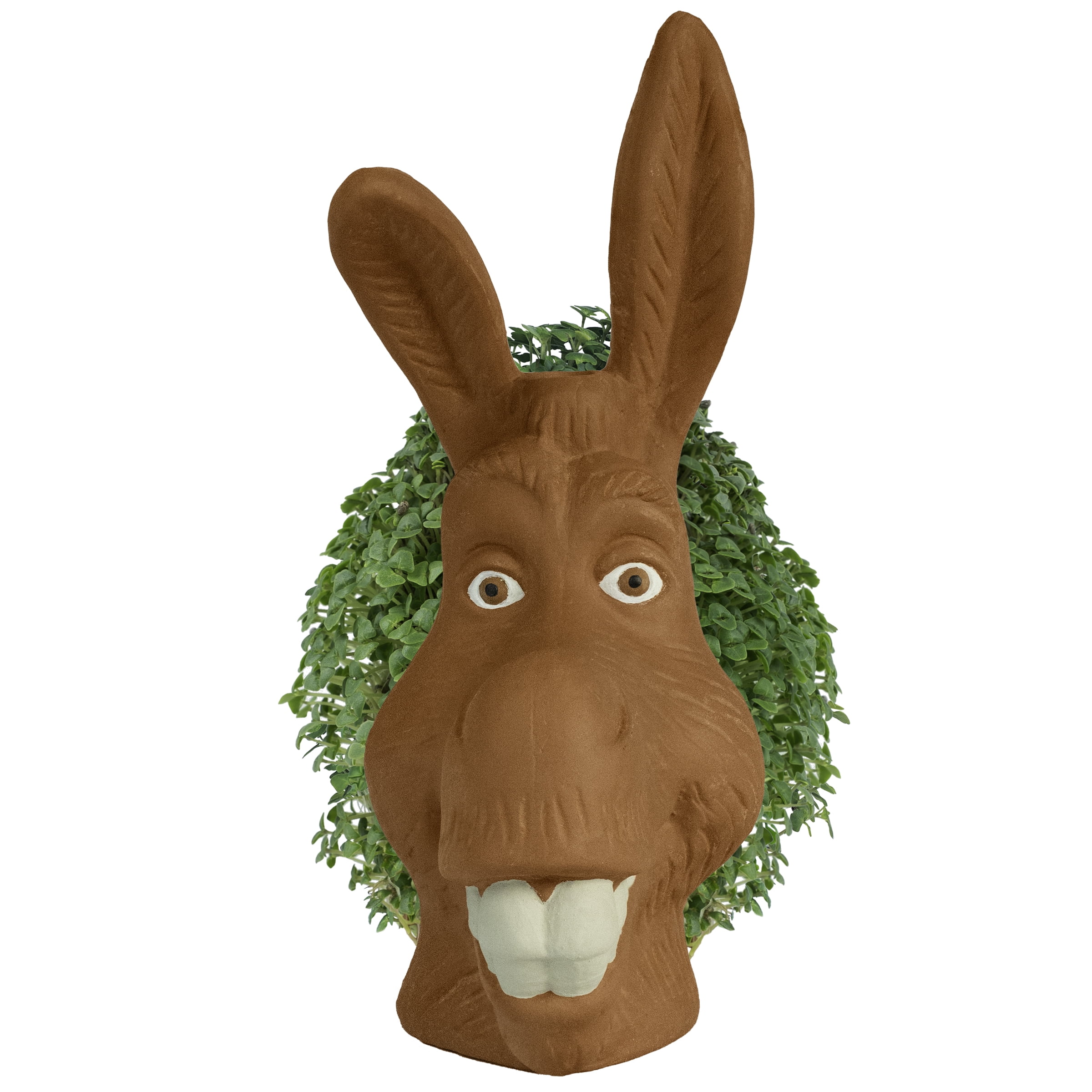 Chia Pet Shrek Donkey Decorative Planter (Handmade, 1 Pack) o1o9d