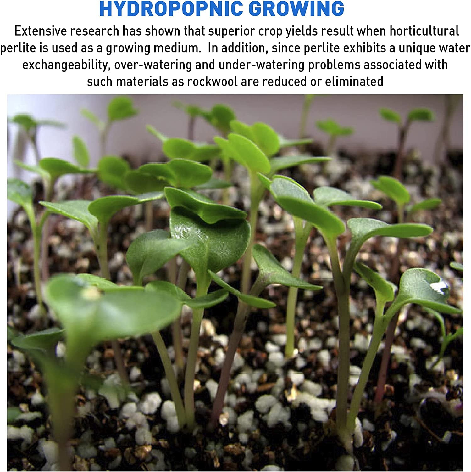 AeroSoil Premium Horticultural Perlite Soil Additive for Aeration and Drainage (White, 4 Cubic Feet) ou1tt