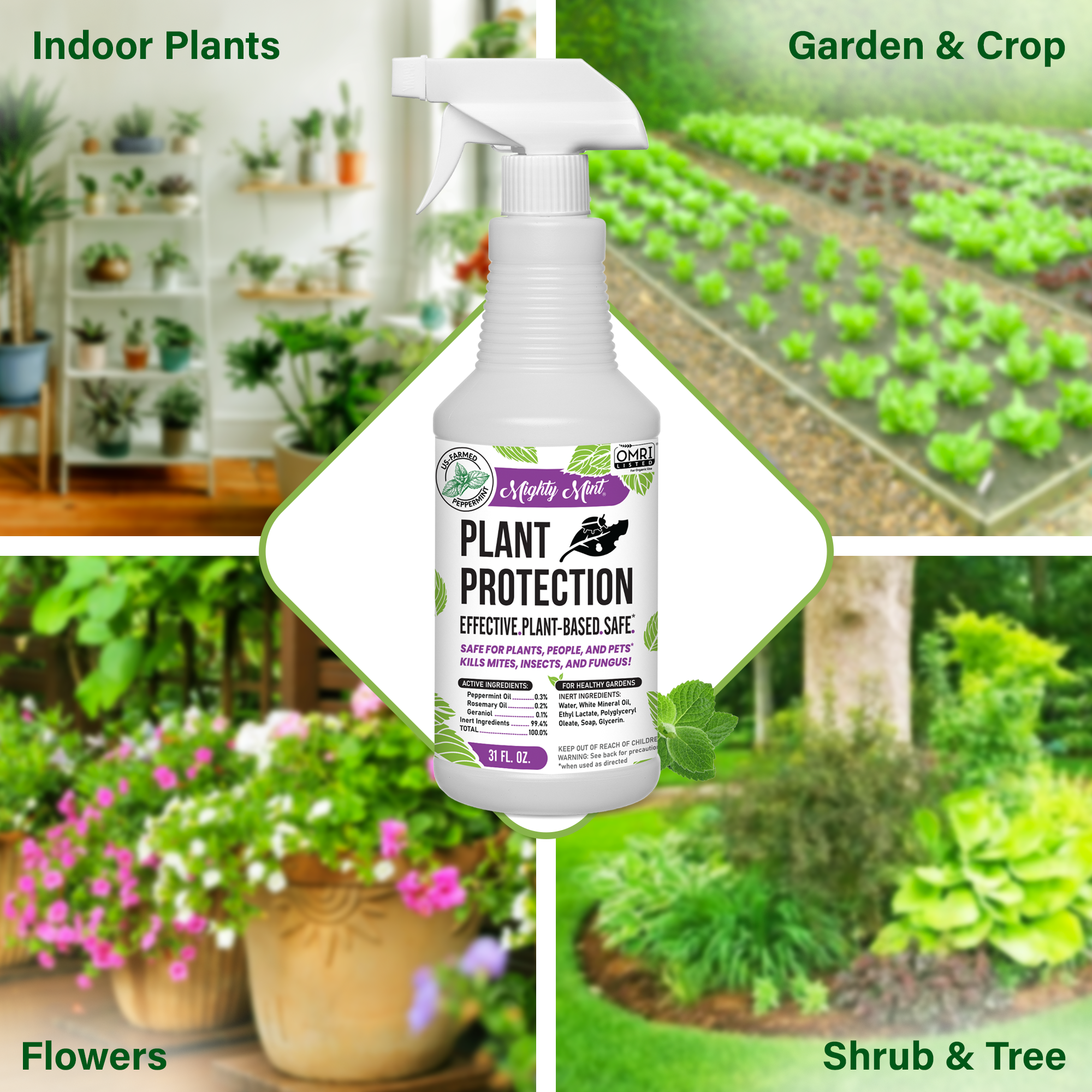 Mighty Mint Peppermint Oil Plant Protection Spray for Gnats, Spider Mites, and Aphids (White, 31 fl oz) ioqz3