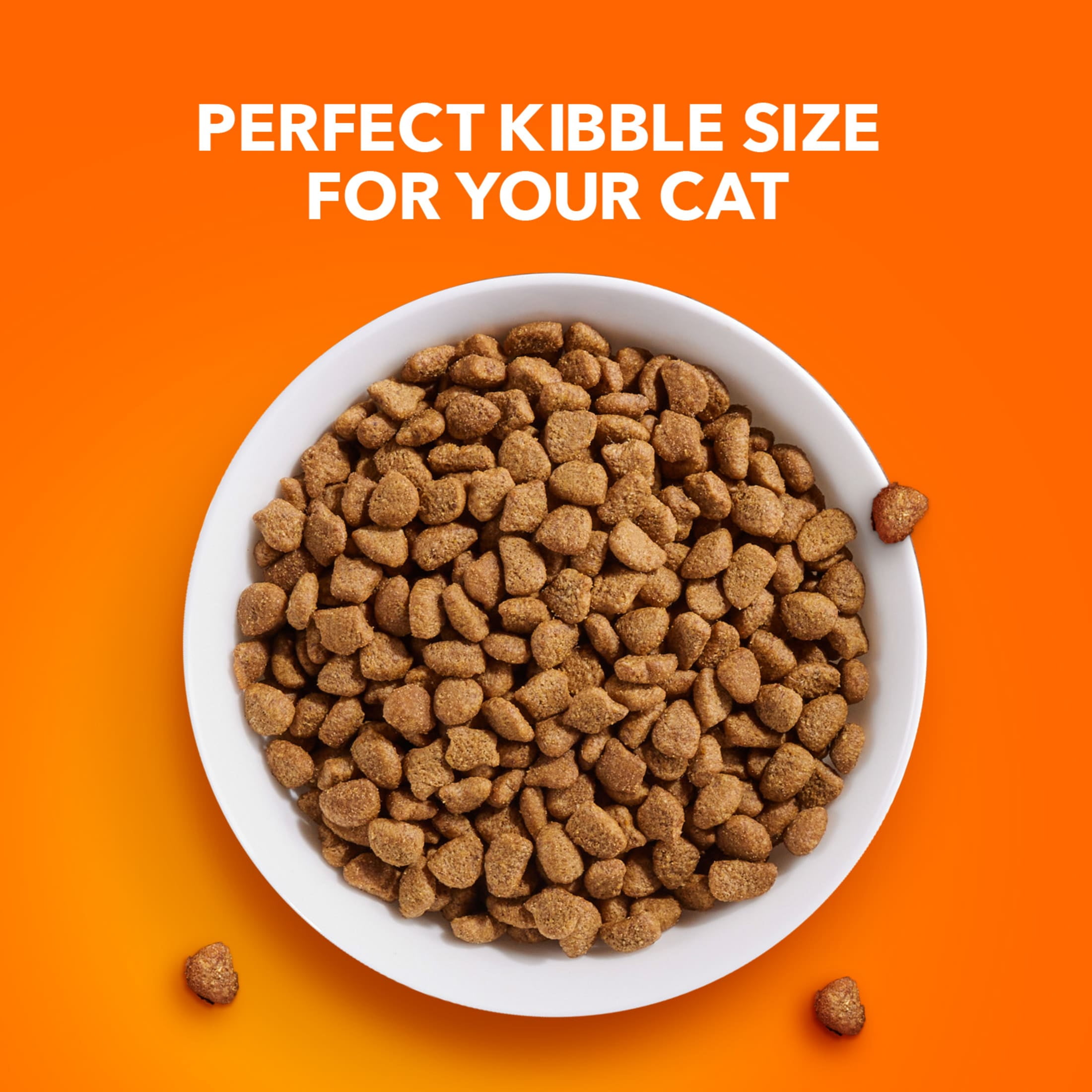 Iams Proactive Health Chicken Dry Cat Food (Chicken, 7 lb) mtw4h