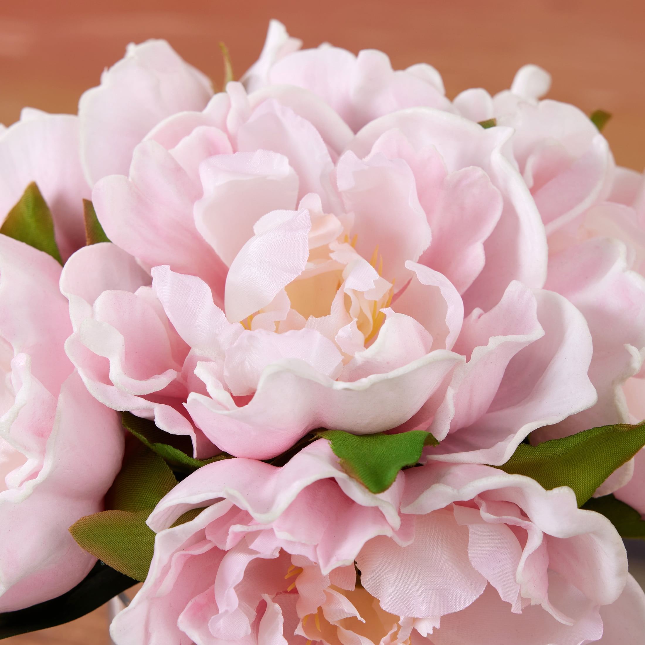 DR.Planzen Artificial Peony Flower Arrangement with Glass Vase (Pink, 10.6 in) 0ln0c