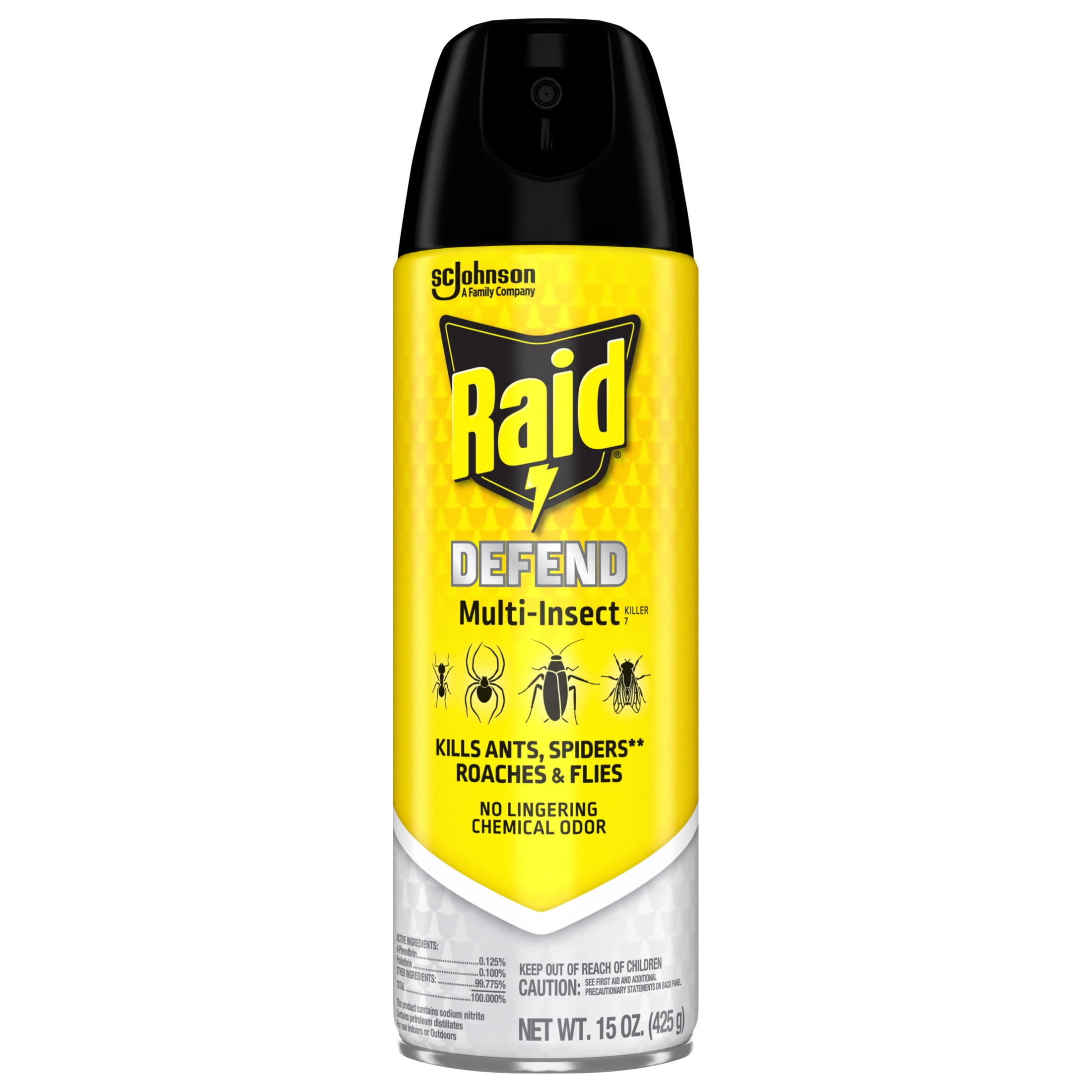 Raid Multi-Insect Killer Spray for Indoor and Outdoor Use (15 oz) ikq5t