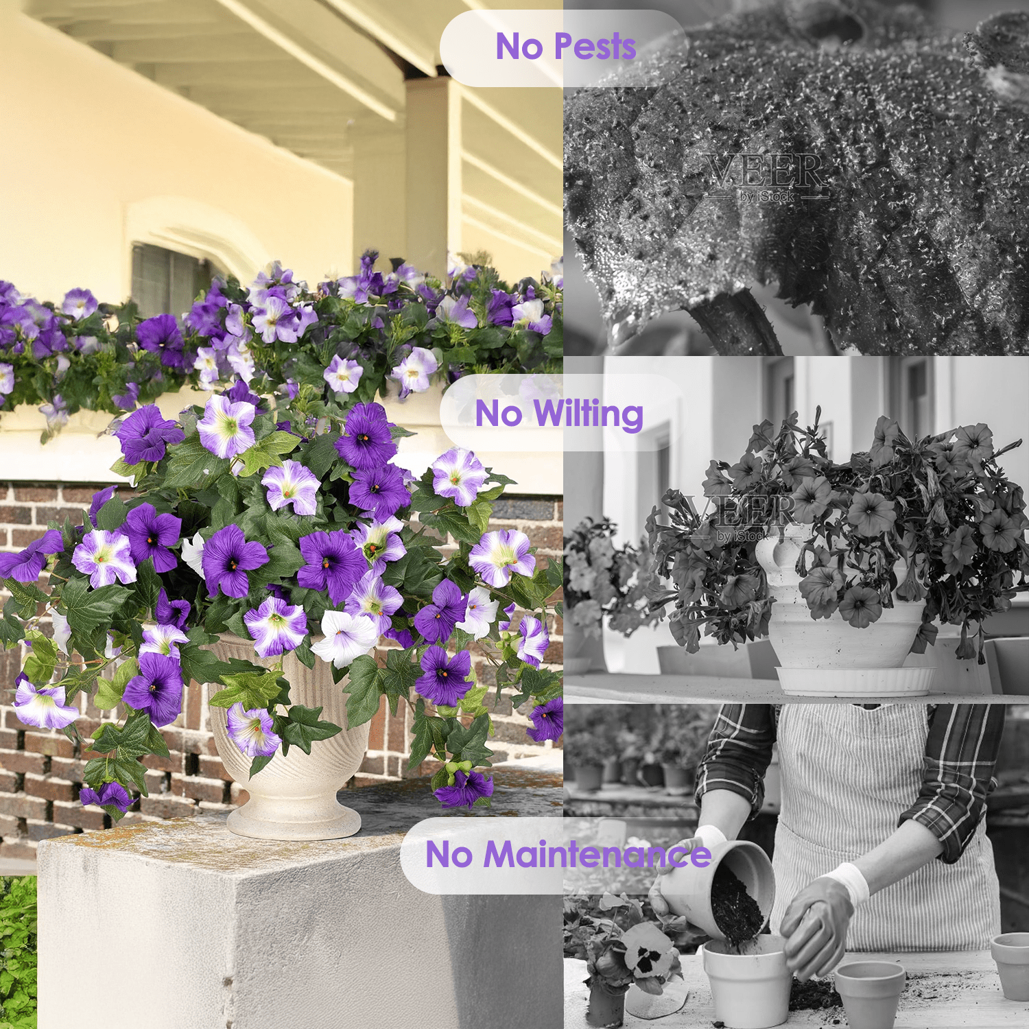 Inadays Artificial Petunia Flowers UV Resistant Faux Plants for Indoor and Outdoor Decor (Purple, 2 Pack, 24 in x 21 in) 4zlji