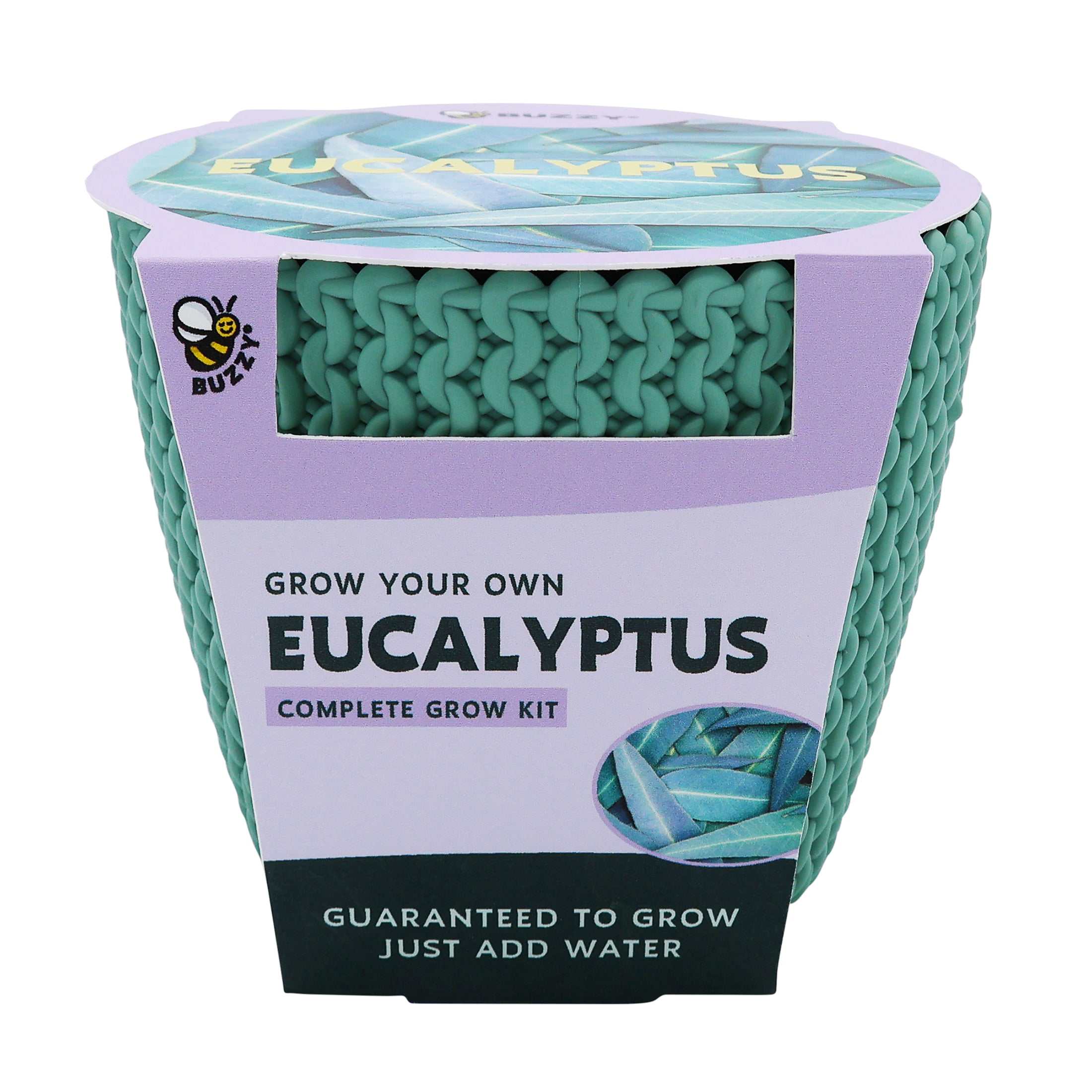 Buzzy Eucalyptus House Plant DIY Growing Kit (Woven Planter, 1 Kit) 6ic3f