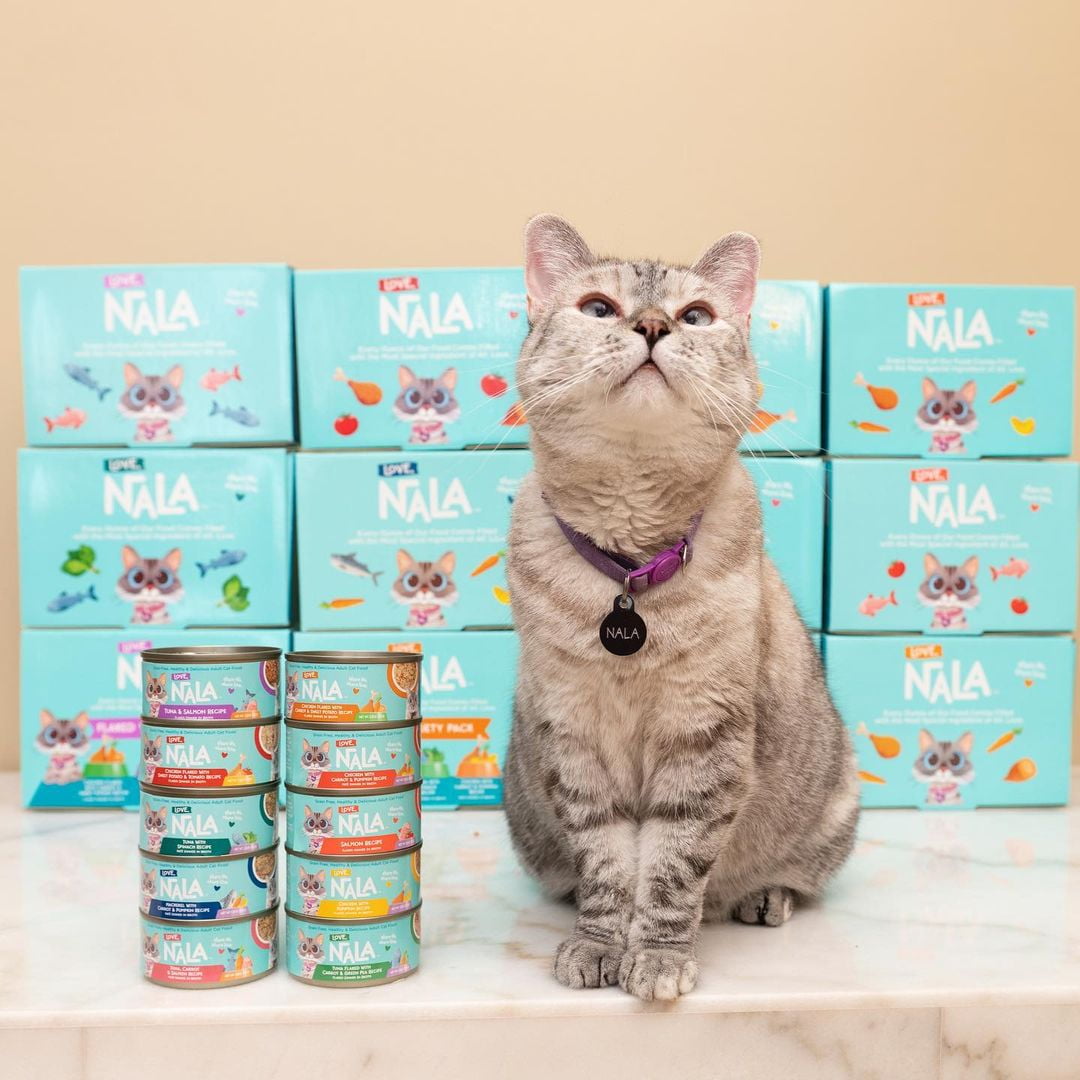 Love, Nala Adult Cat Flaked Wet Cat Food Tuna & Salmon Recipe (6 Pack, 2.8 oz) 85gnv