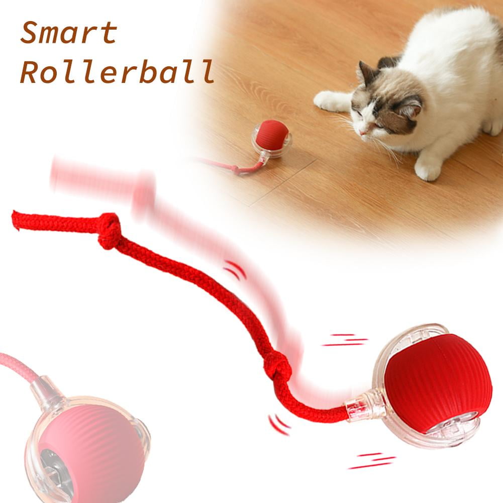 Wmool Interactive Cat Toy Ball, Motion Activated Electric Rolling Toy with LED Rainbow Lights and Long Tail (USB Rechargeable, 3 Working Modes) i0n26