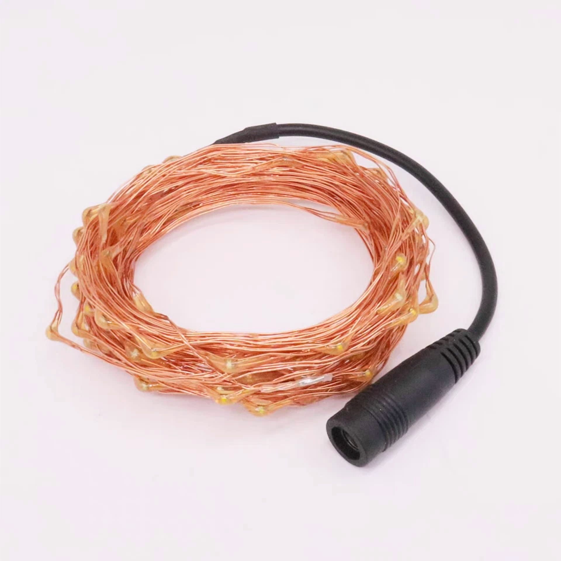 Purely Elizabeth LED Outdoor Fairy String Lights Copper Wire Waterproof Garden Decor (33 ft) asmne