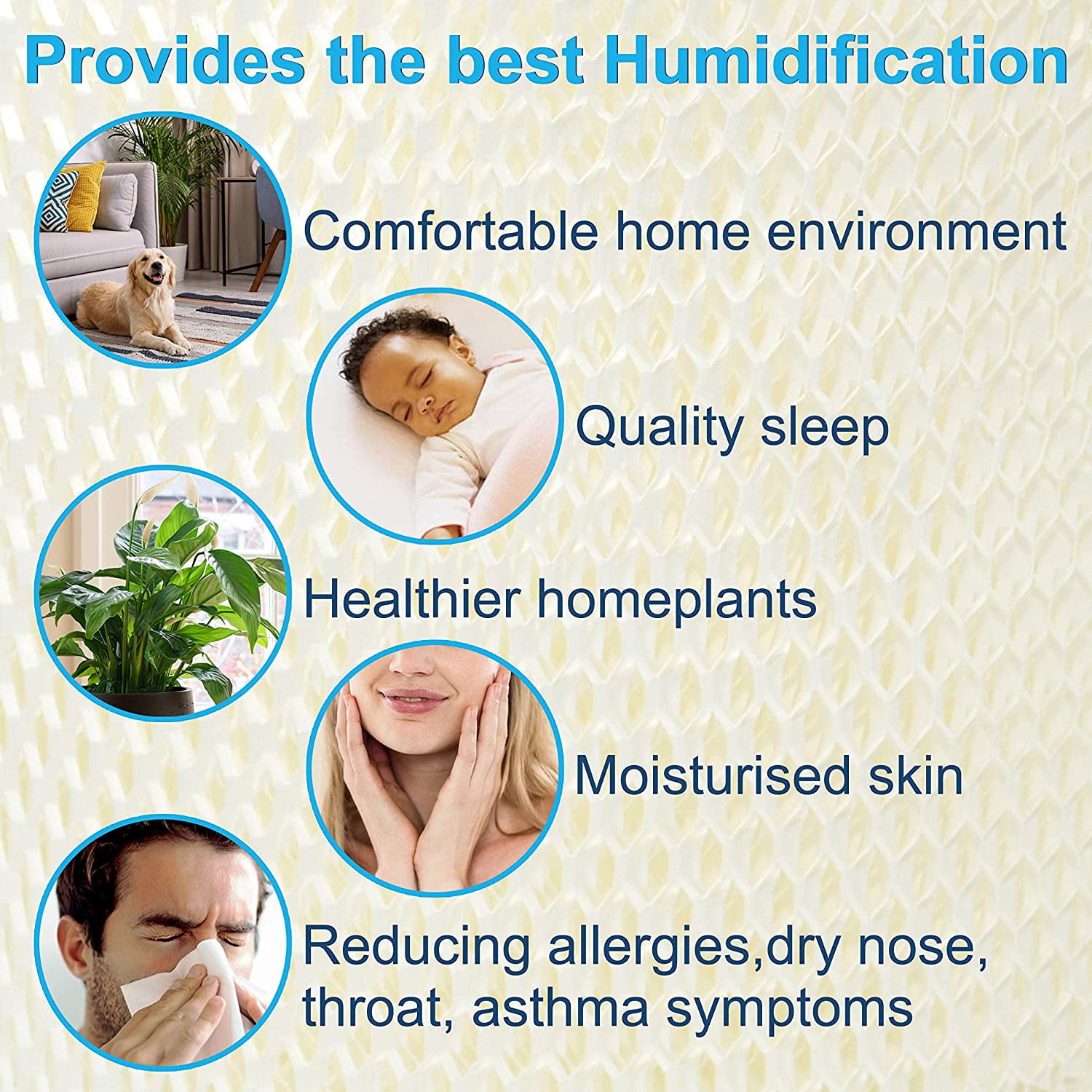 HQRP Humidifier Wick Filter Replacement for Sunbeam SCM3501 SCM3502 SCM3609P SCM3657 SCM3755C SCM3656 (1 Pack) 3af0t