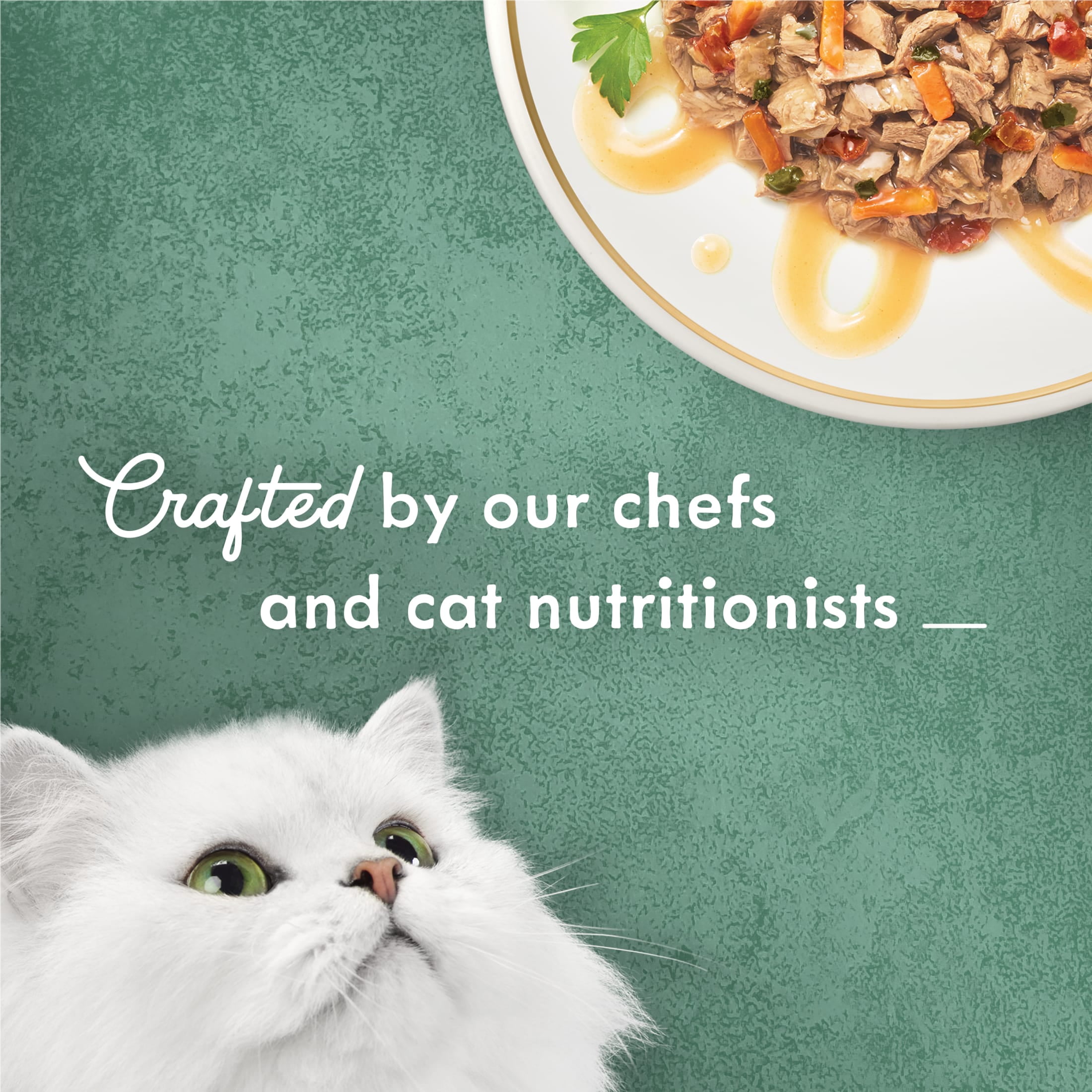 Fancy Feast Medleys Salmon Primavera Wet Cat Food (Salmon, 3 oz) hnb04