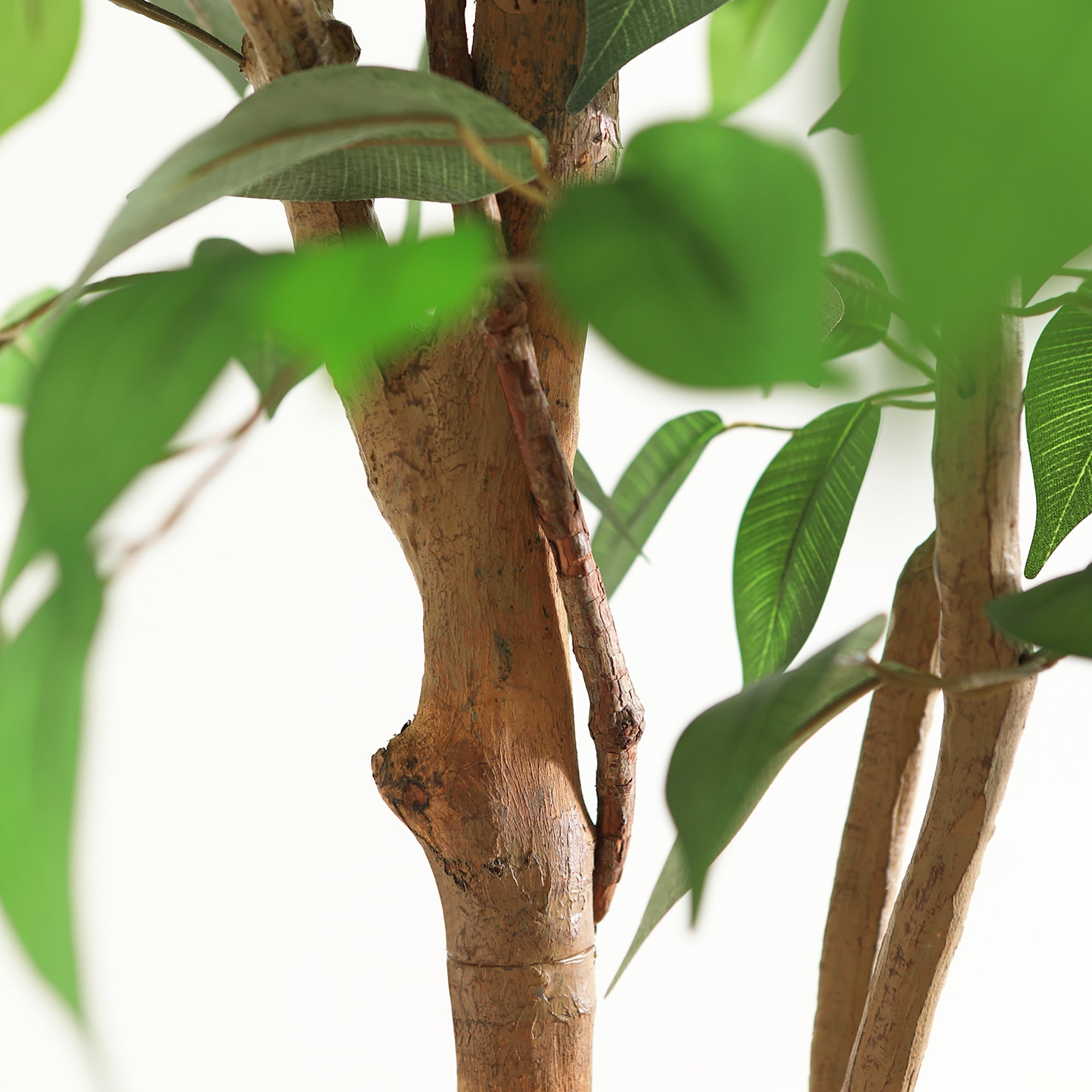 DR.Planzen Artificial Ficus Tree, Lifelike Indoor Floor Plant with Natural Wood Trunk (Green, 60 in) jofpa