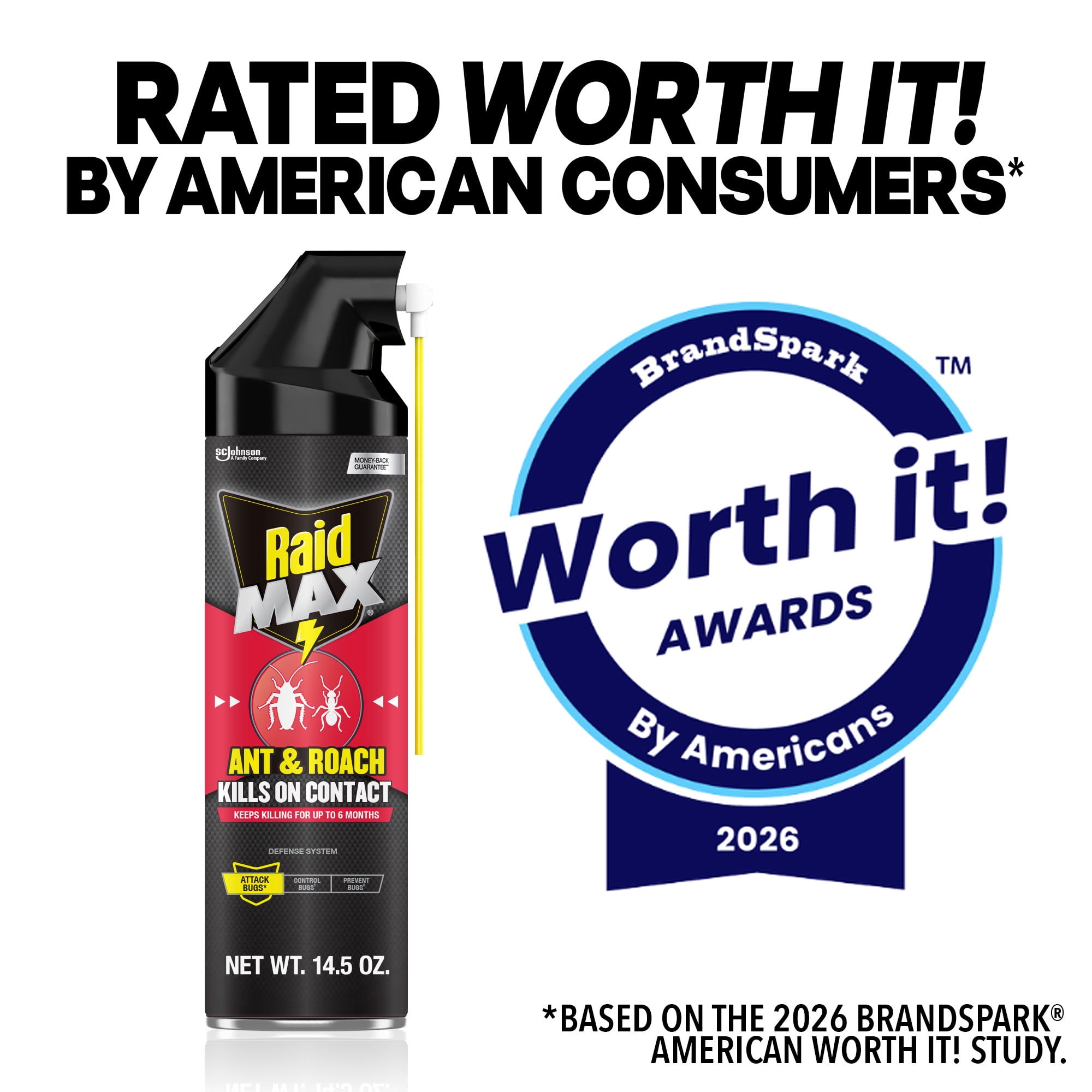 Raid MAX Indoor Ant and Roach Insecticide Spray (14.5 oz) 2ohkp