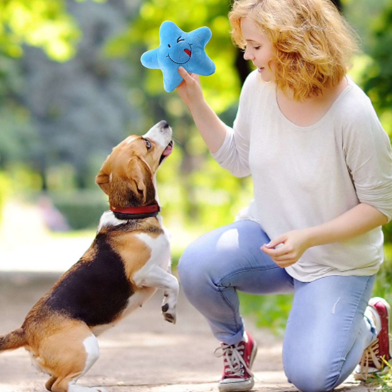 Hometrendia Star Shaped Squeaky Plush Dog Toy, Interactive Soft Chew Toy for Puppies and Small Pets (Blue, 5 in) xx5tp