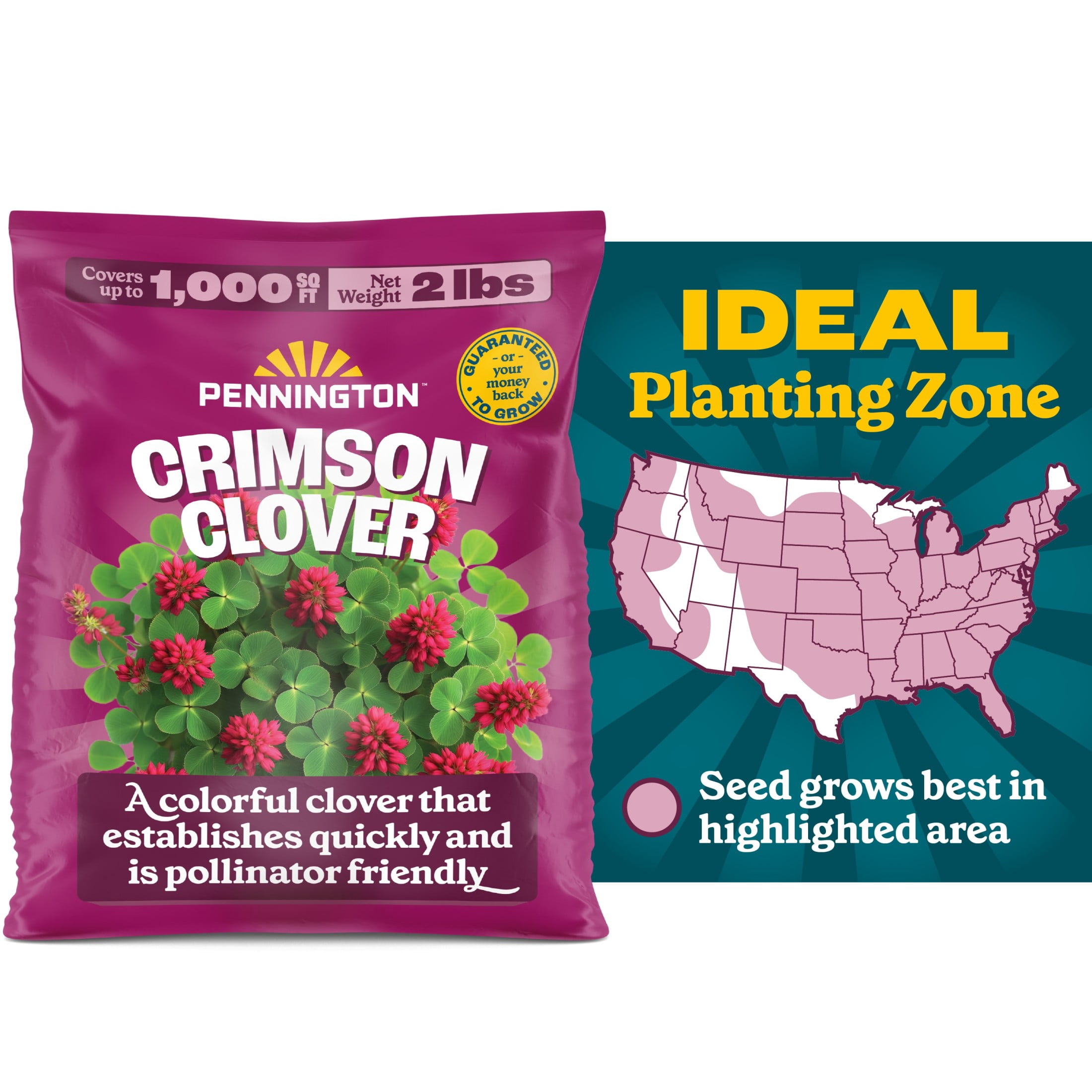 Pennington Crimson Clover Seed (2 lb) t0y1x