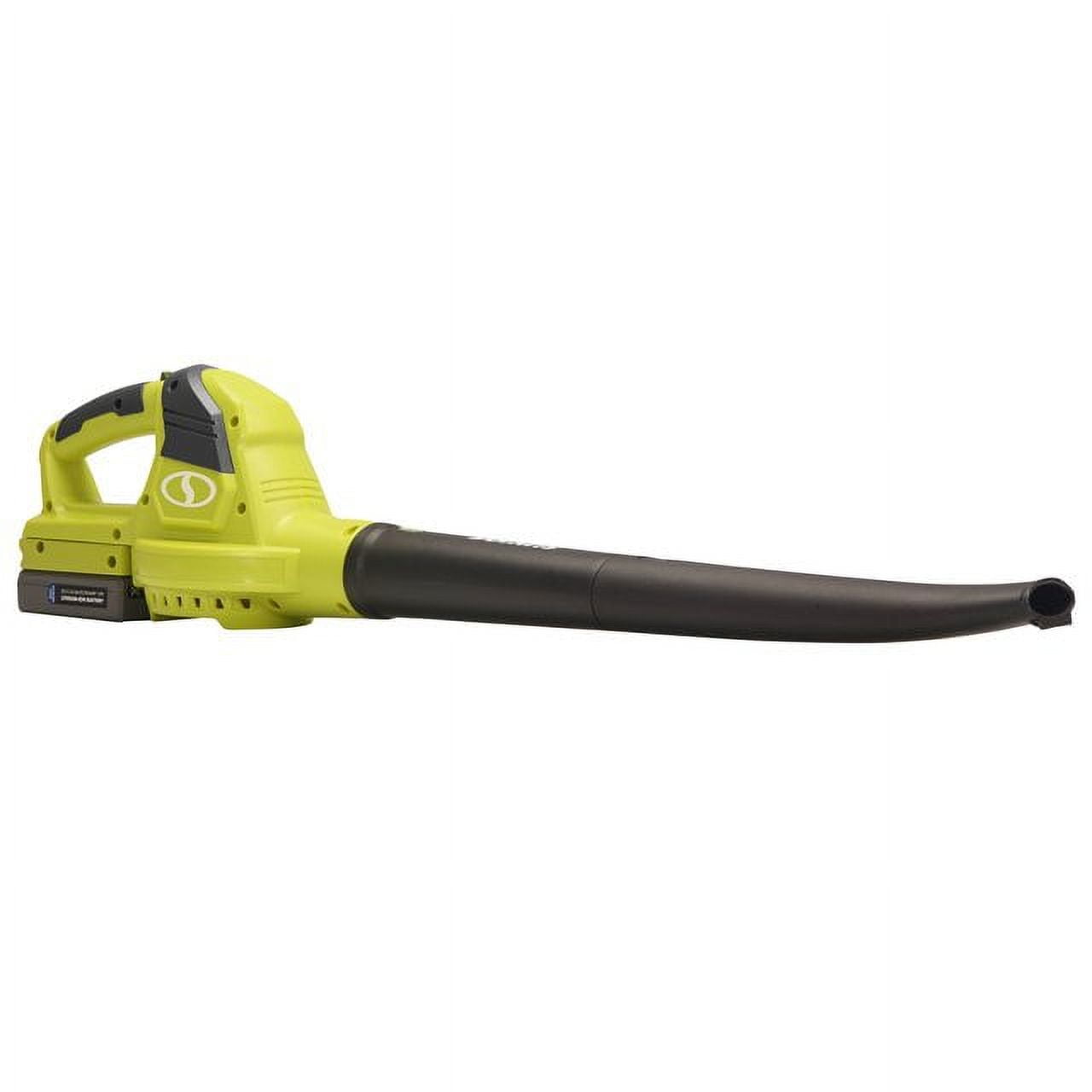 Sun Joe 20V Cordless Leaf Blower and Sweeper with Battery and Charger (Green, 33 in) nnhnk