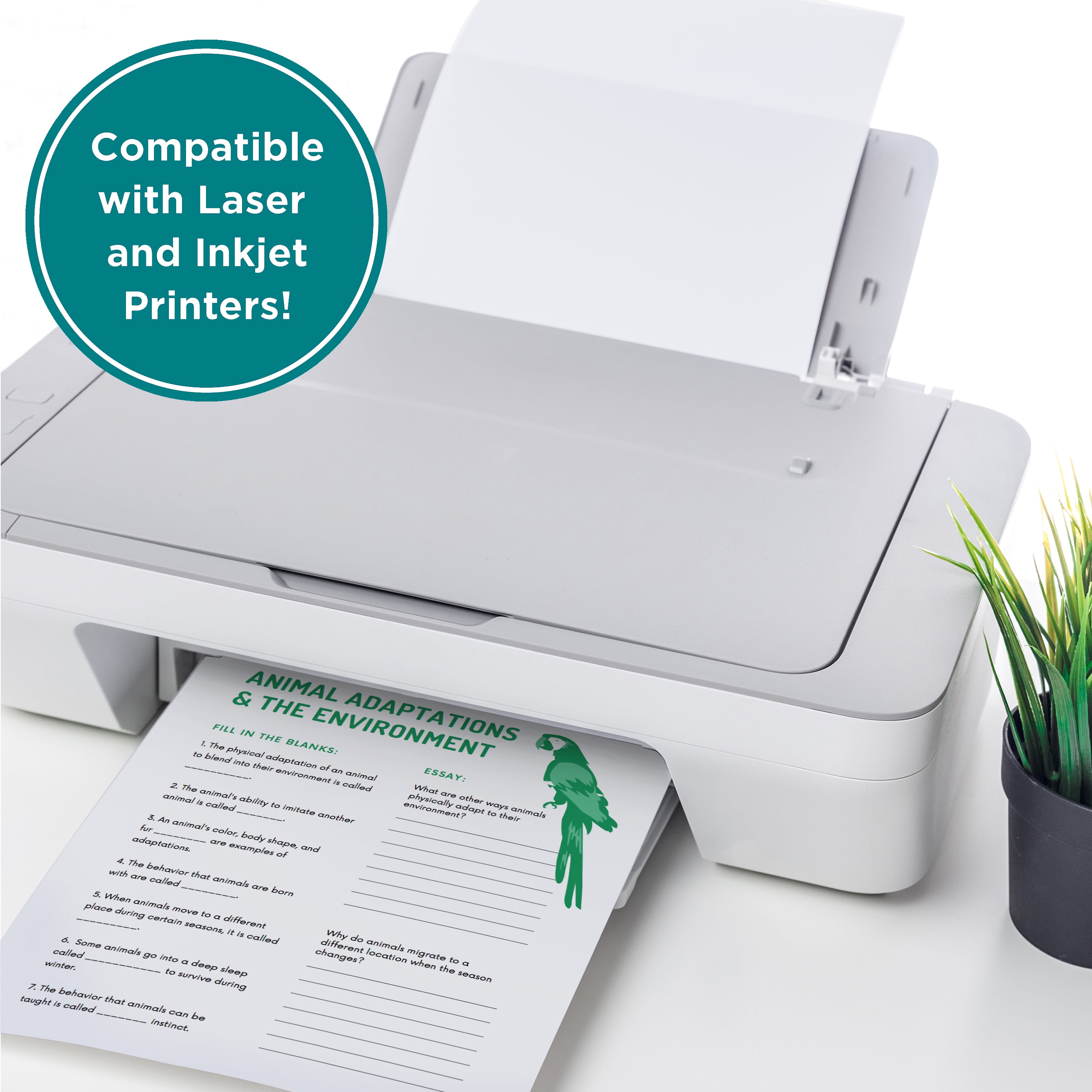 Elementree Sustainable Multipurpose Printer Paper, Eco-Friendly Smooth Finish (White, 8.5 x 11 in, 4000 Sheets) 3z9nn