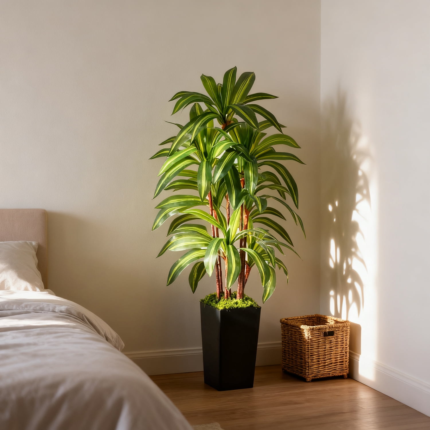 NOVAROOT Artificial Dracaena Tree, Faux Tropical Floor Plant with Black Planter (5 ft) 4hxx9