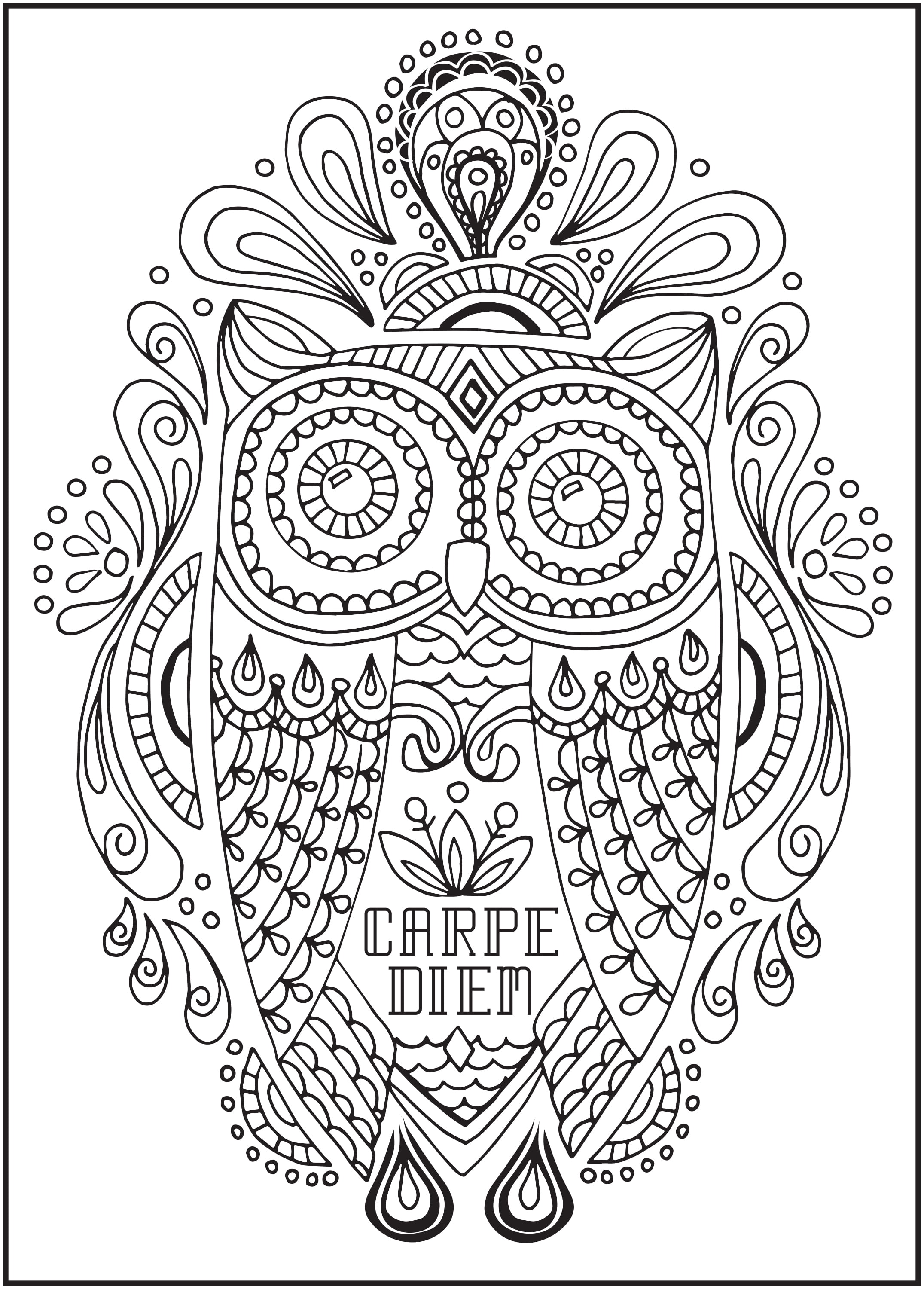 Cra-Z-Art Timeless Creations Feathered Friends Adult Coloring Book (64 Pages) fflf4