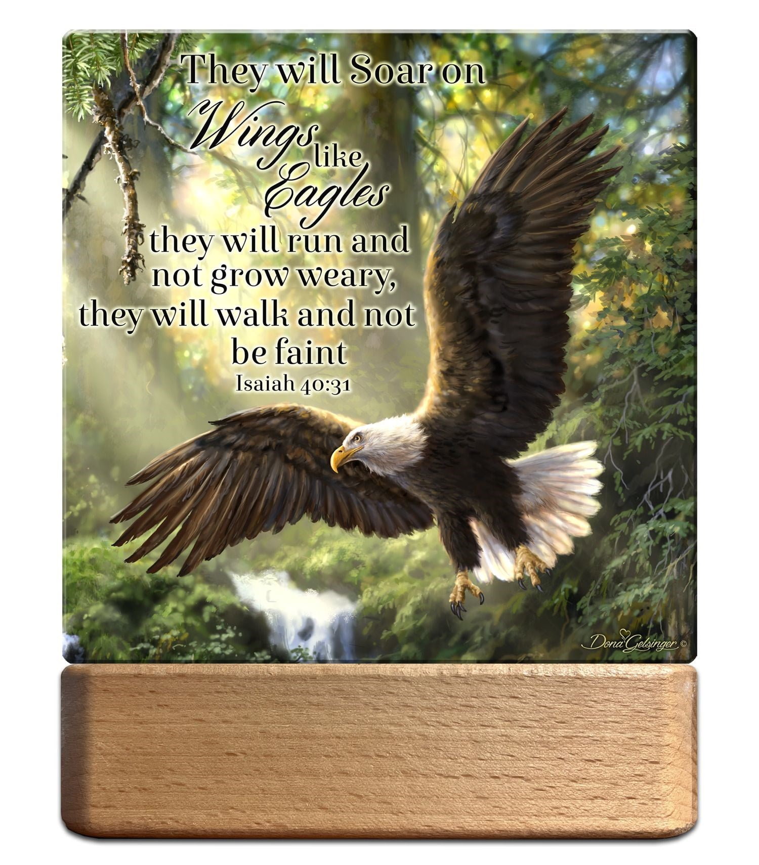Glow Decor LED Night Light and Wall Plaque with Eagle Flight Design and Scripture (7 in) auyz9