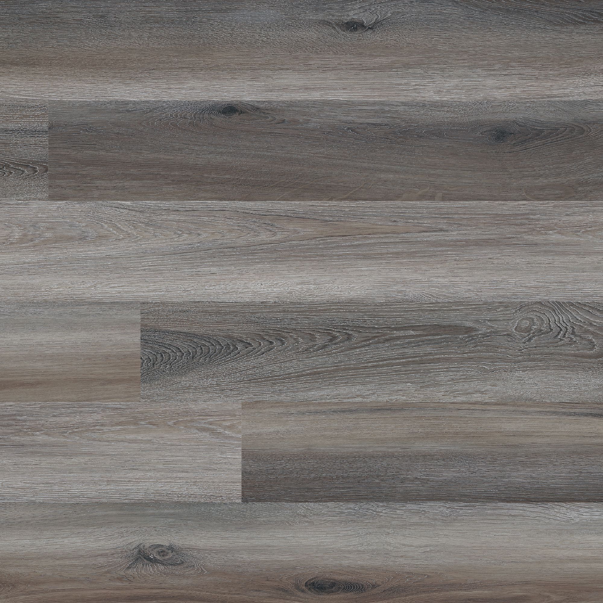 MSI Bayshore Cottonwood Luxury Vinyl Plank Flooring (6 in. x 48 in., 36 sq. ft. per case) iv6j7