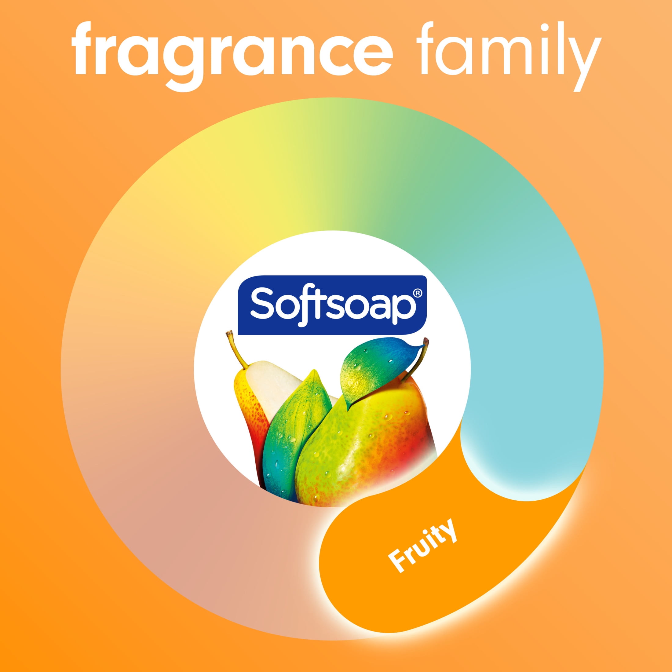 Softsoap Antibacterial Liquid Hand Soap, Crisp Clean, Moisturizing Formula (Clear, 11.25 fl oz) lcpe2