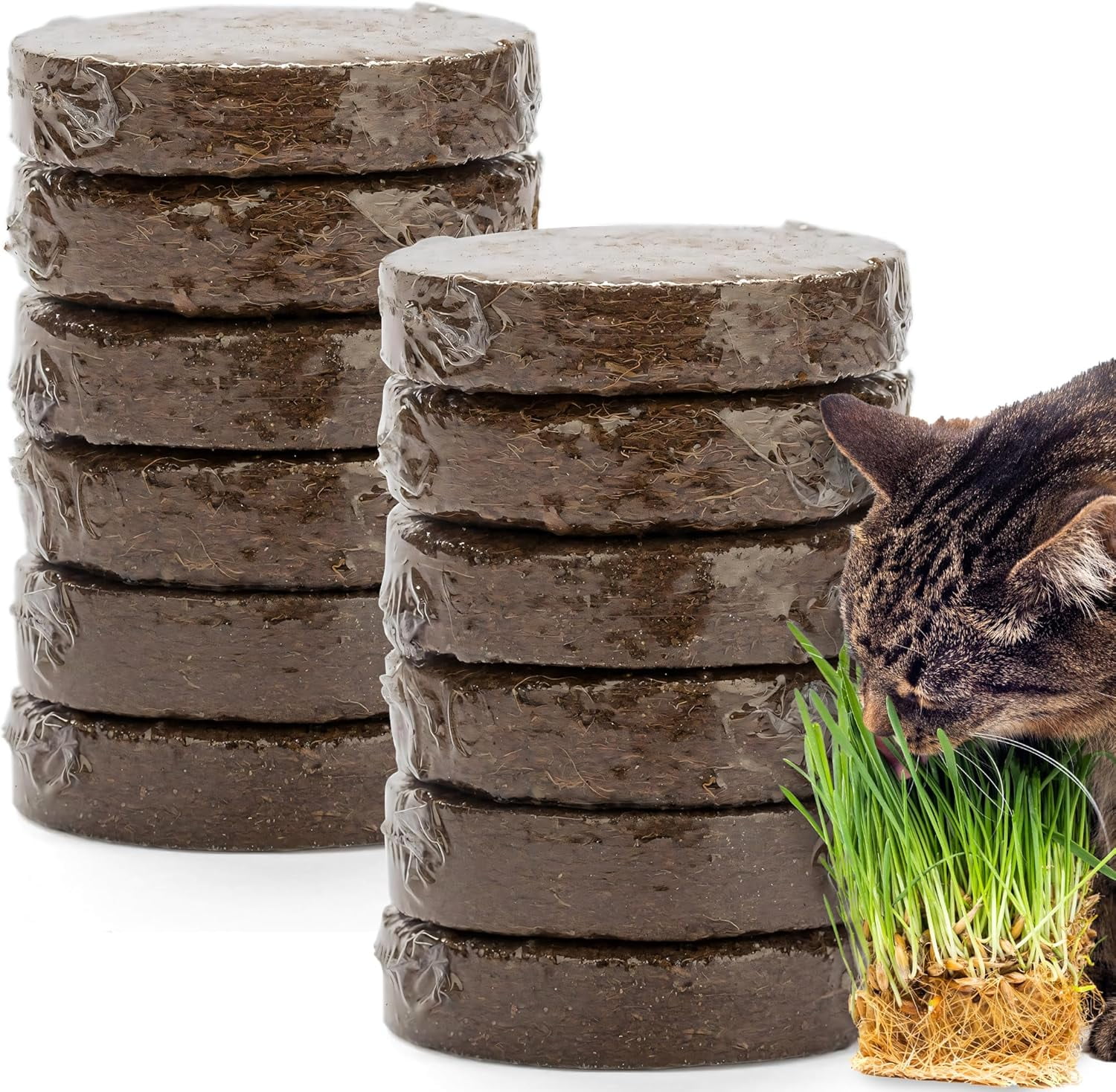 The Cat Ladies Organic Potting Soil Disks, All-Purpose Coco Coir Mix for Indoor and Outdoor Plants (12 Count, 8.8 oz) iv6qn
