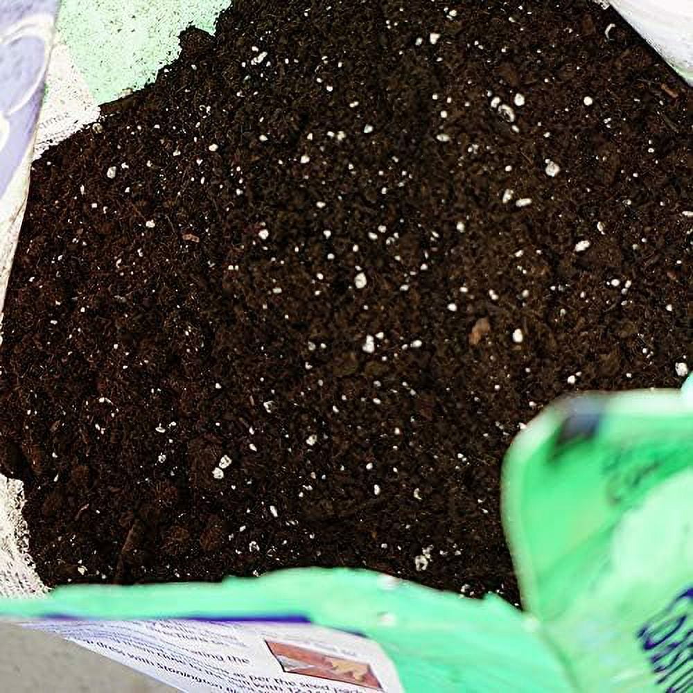 Coast Of Maine Sprout Island Blend Organic Seed Starter Mix (Natural, 48 qt Total) nk562