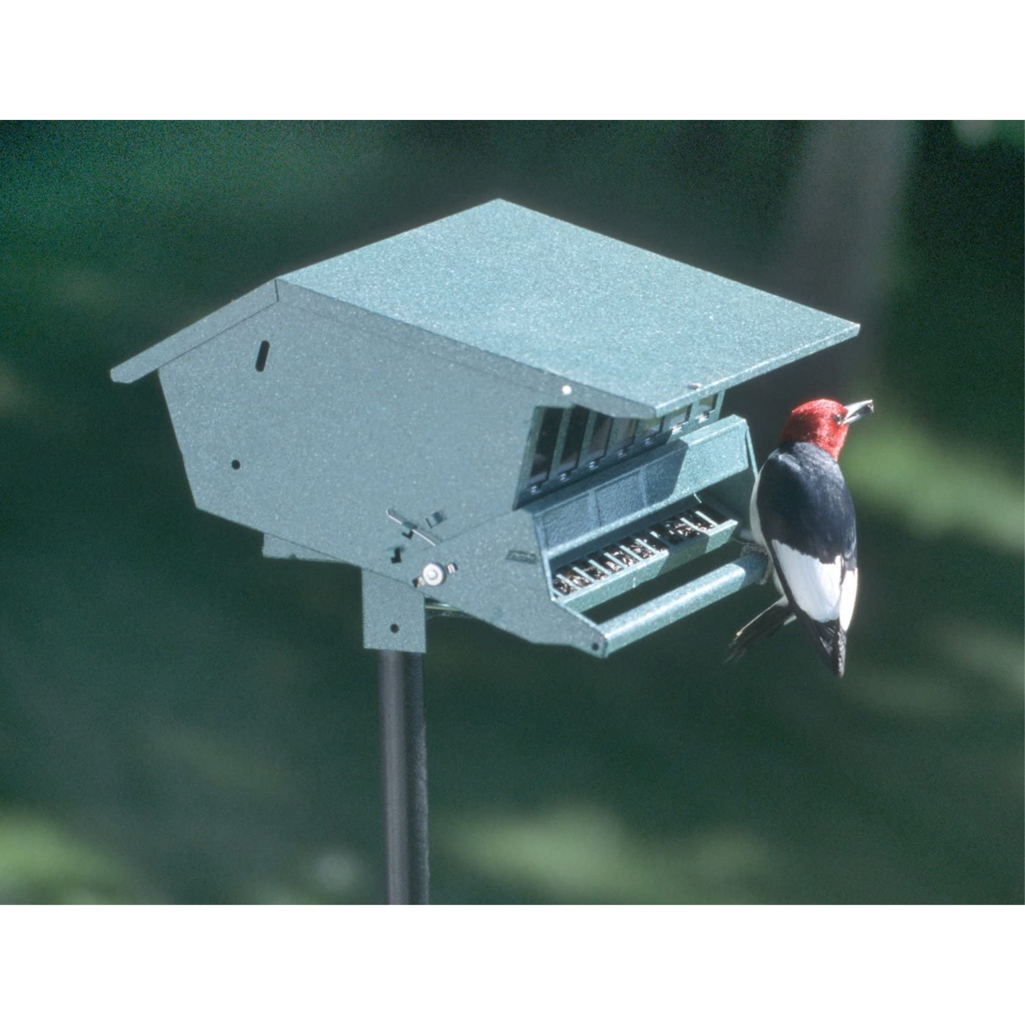 WoodLink Squirrel-Proof Bird Feeder with Weight-Activated Perch (Green, 9 lb Capacity) c7iws