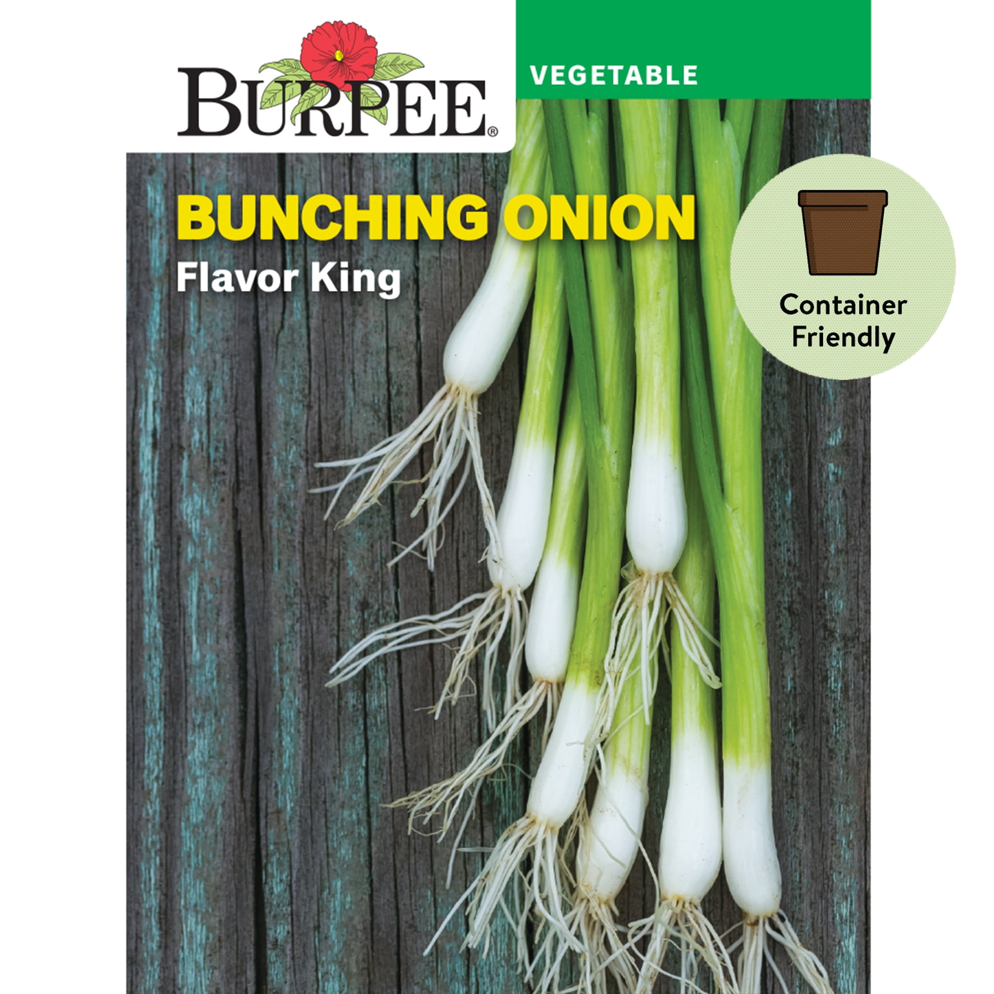 Burpee Flavor King Bunching Onion Seeds (Container-Friendly, Vegetable Gardening, 1-Pack) y87n3