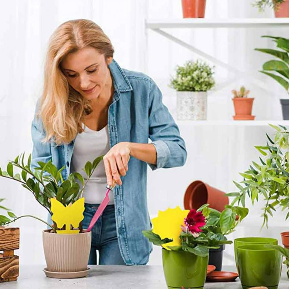 Generic Fruit Fly and Fungus Gnat Traps, Sticky Bug Catcher for Indoor and Outdoor Plant Protection (Yellow, 30 Pack) zyxyj