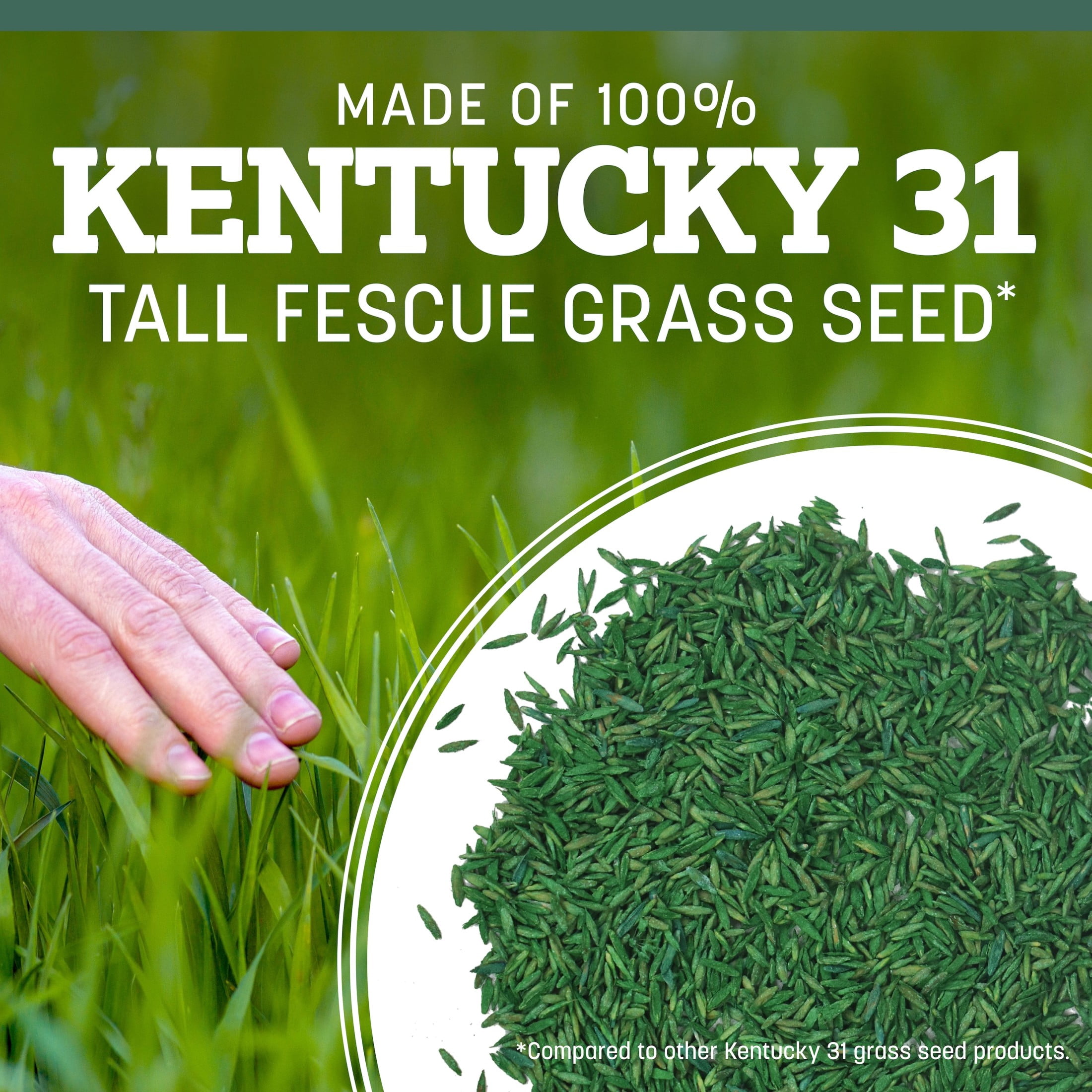 Pennington Kentucky 31 Tall Fescue Grass Seed Mix for Durable Lawns (Sun to Partial Shade, 20 lb) y5lrp