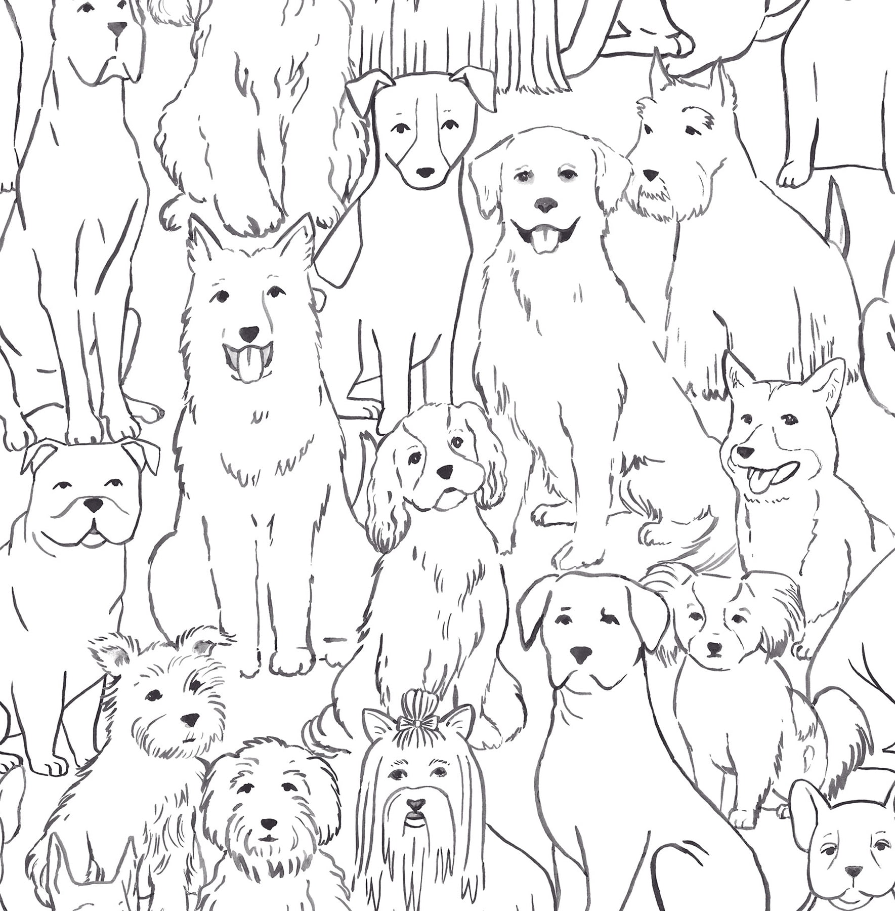NuWallpaper Paws Peel and Stick Wallpaper, Removable Vinyl Wall Decor (Black and White, 20.5-in x 216-in) f2mhv