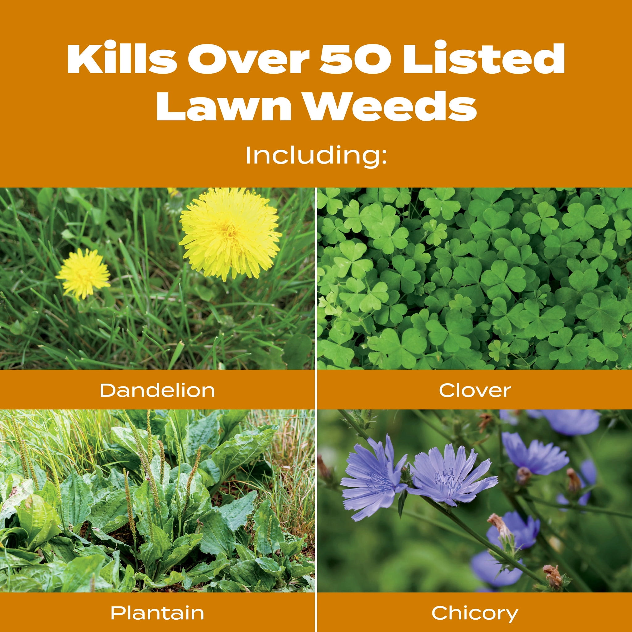 Scotts Turf Builder WinterGuard Fall Weed & Feed Lawn Fertilizer (11.28 lb) bkx3y