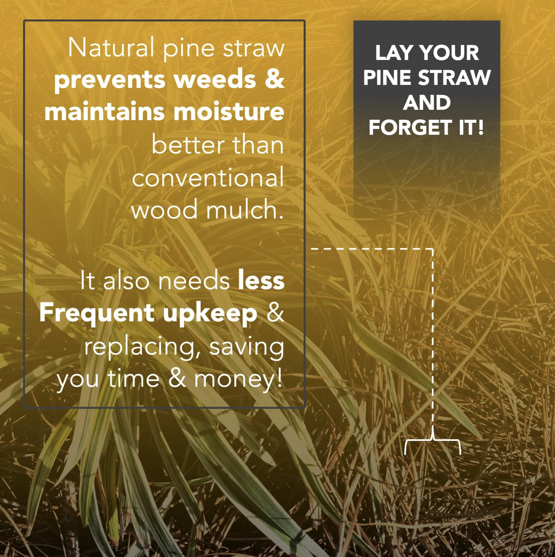 Home and Country USA Premium Pine Straw Mulch for Landscaping and Gardening (Natural Brown, 4 lb) tf0rb